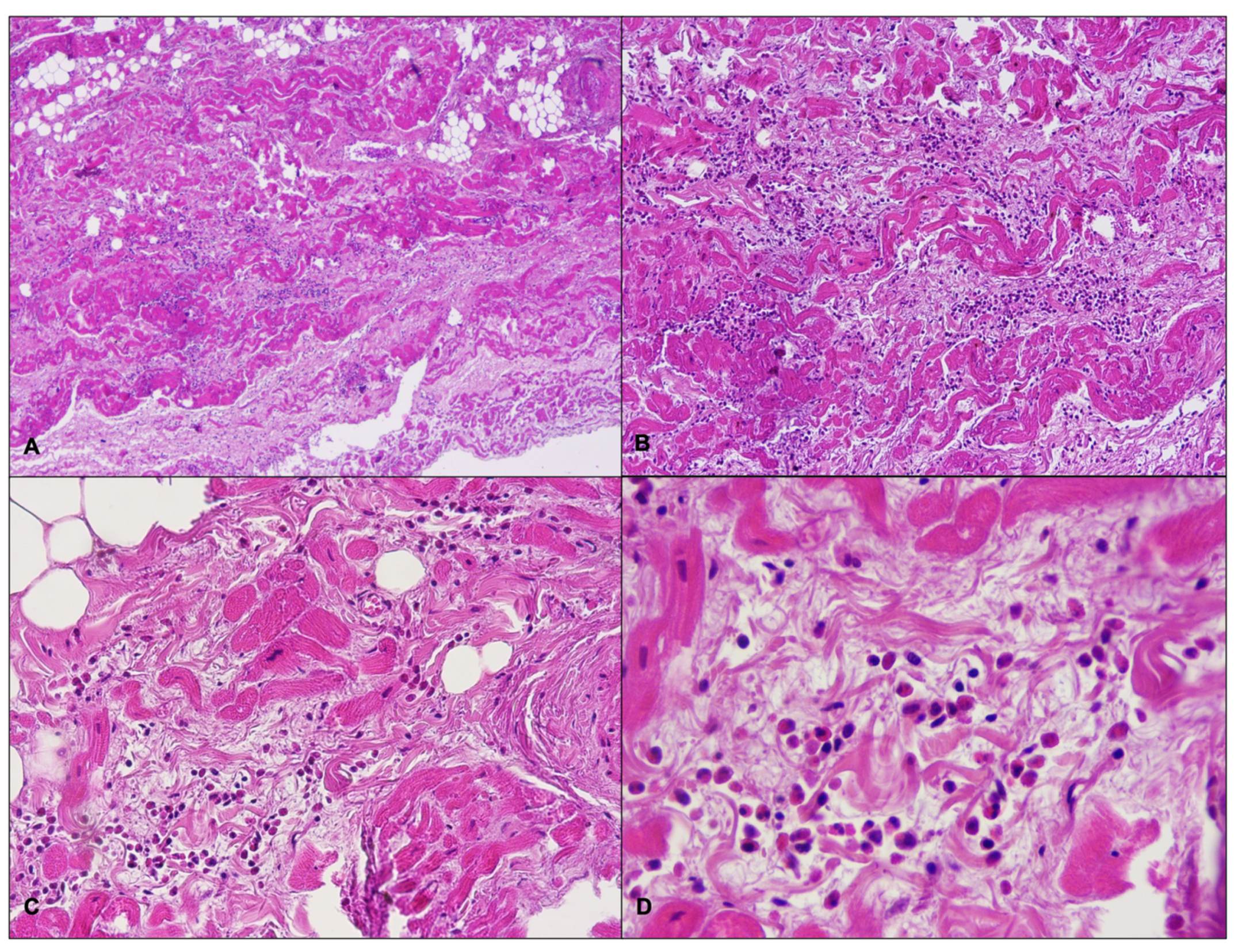 Ijms 23 11666 g002 Ijms 23 11666 g002