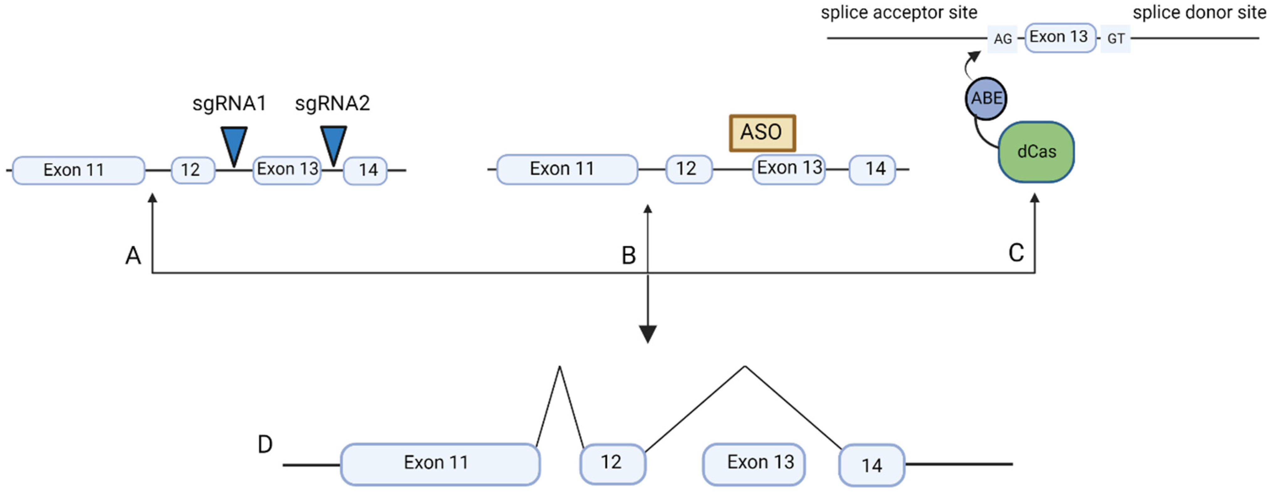 Ijms 23 11669 g002 Ijms 23 11669 g002