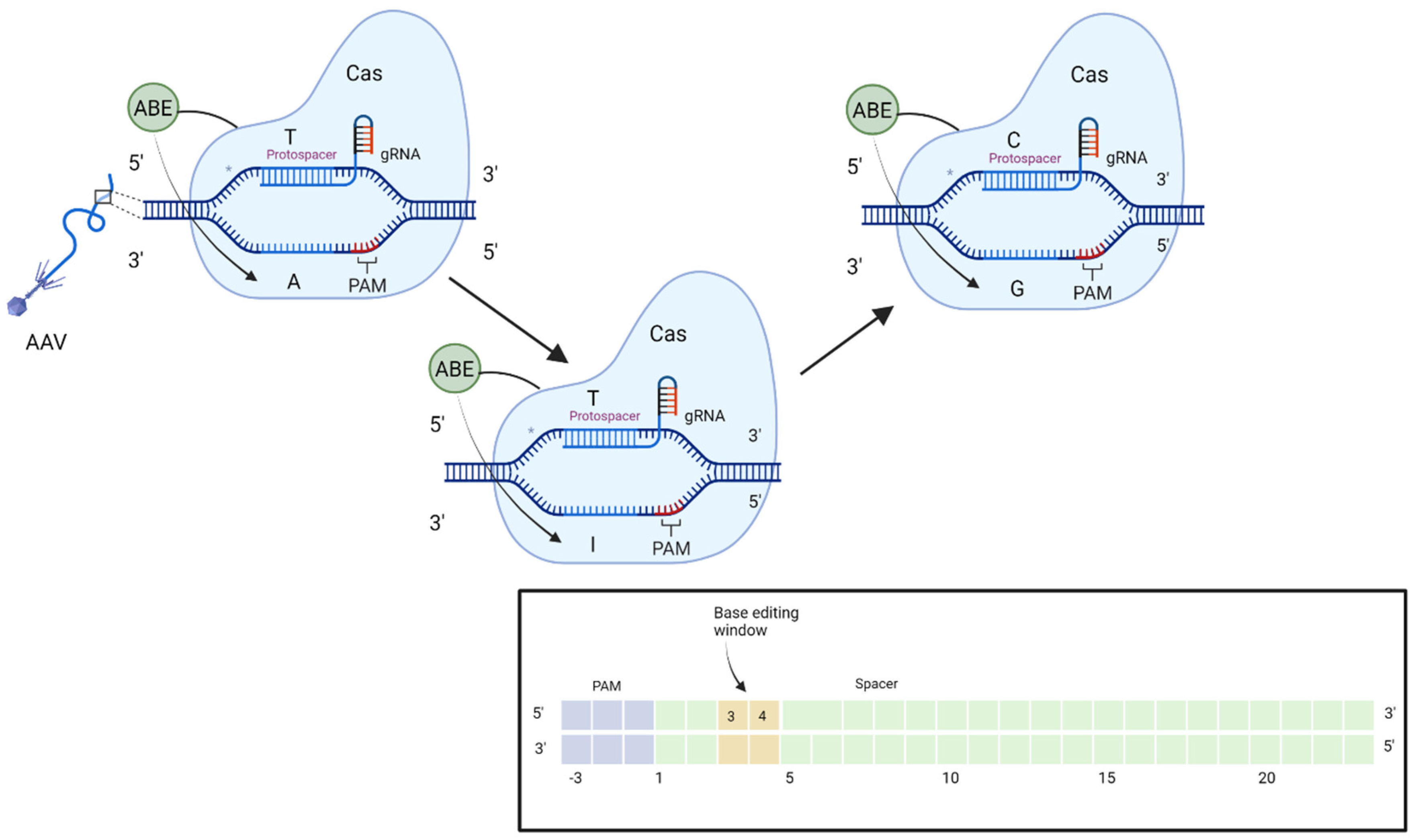 Ijms 23 11669 g005 Ijms 23 11669 g005