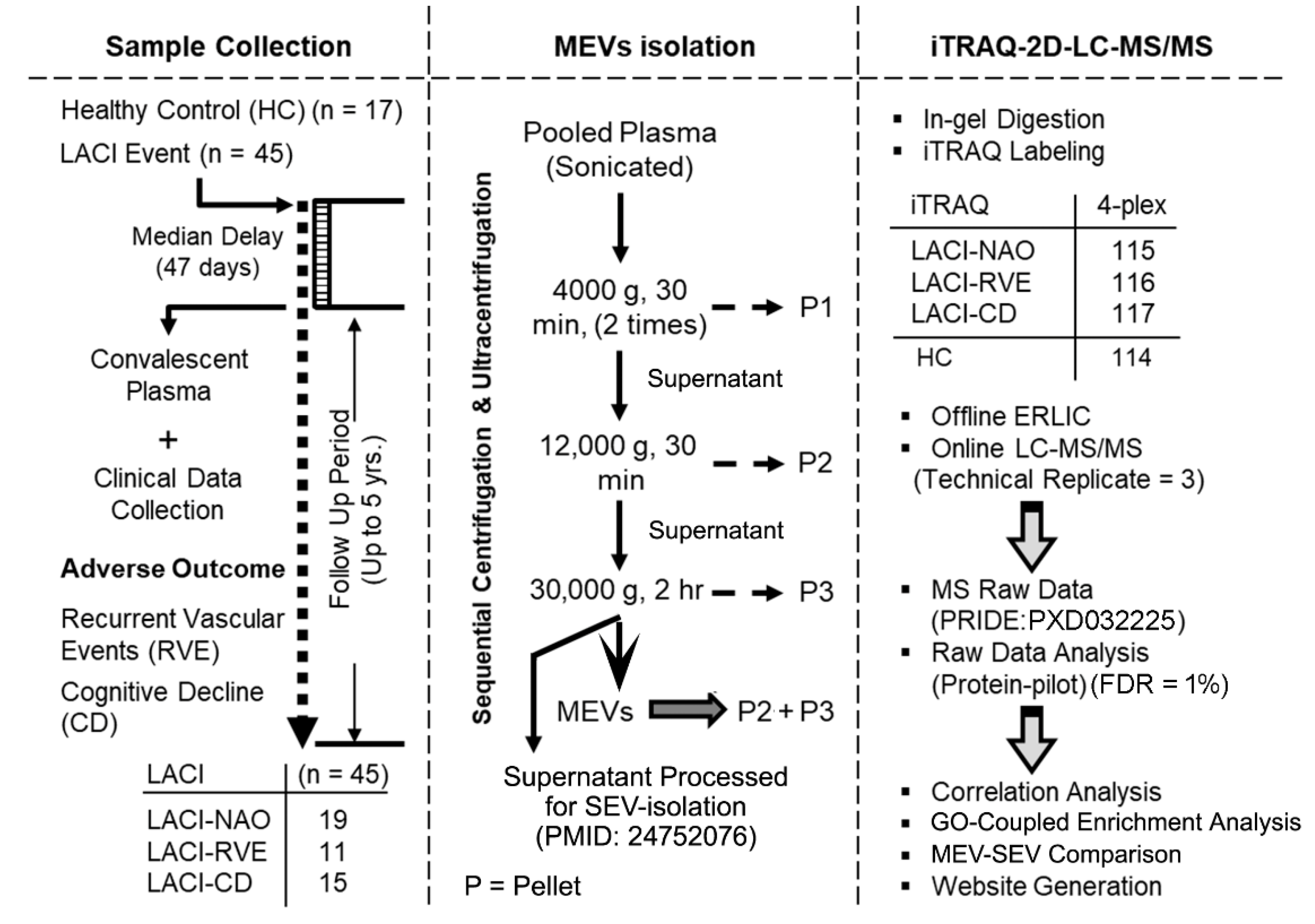 Ijms 23 11670 g001 Ijms 23 11670 g001
