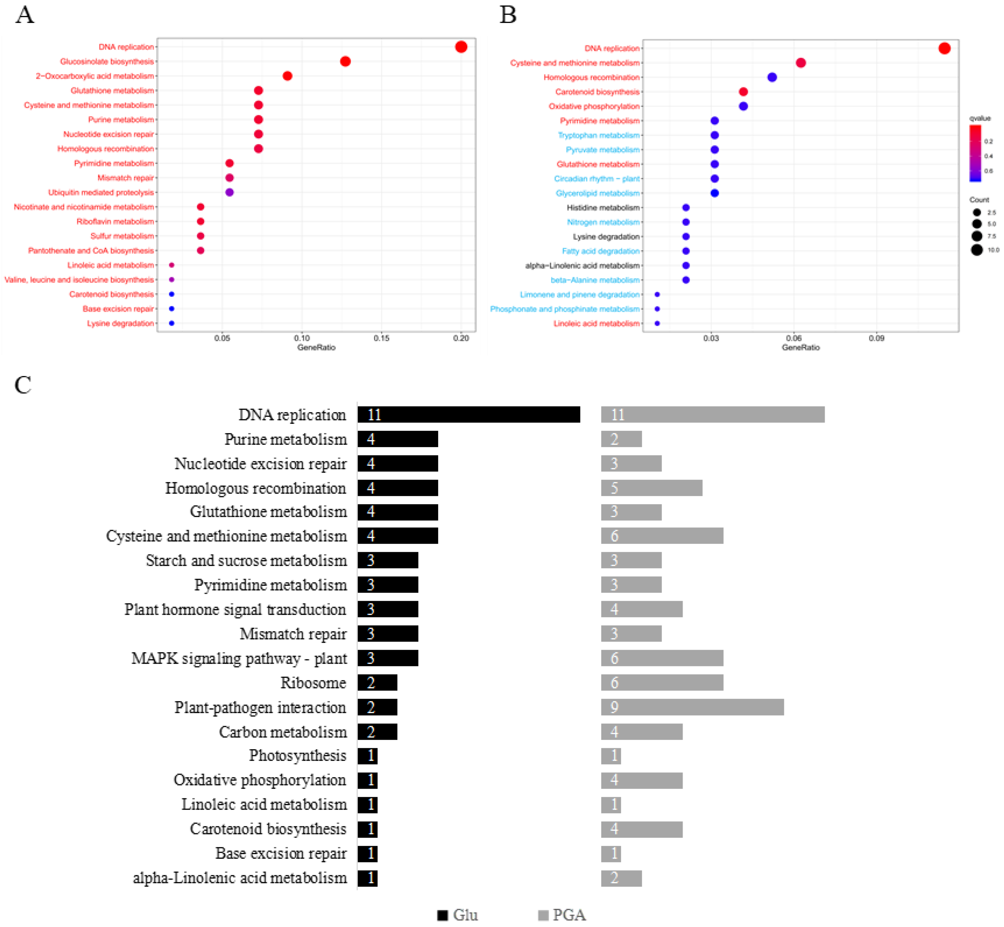 Ijms 23 11671 g005 Ijms 23 11671 g005