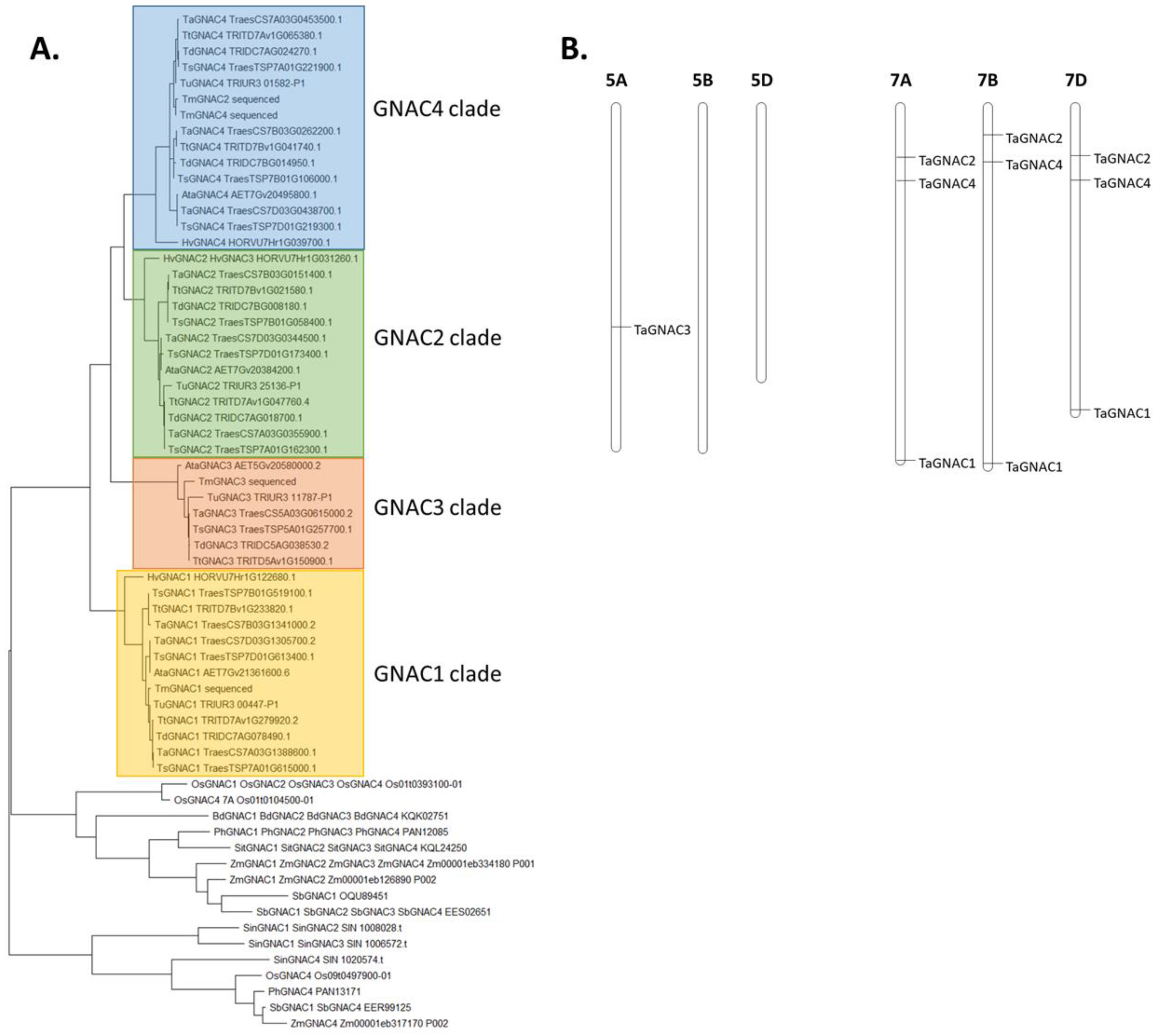 Ijms 23 11672 g001 Ijms 23 11672 g001