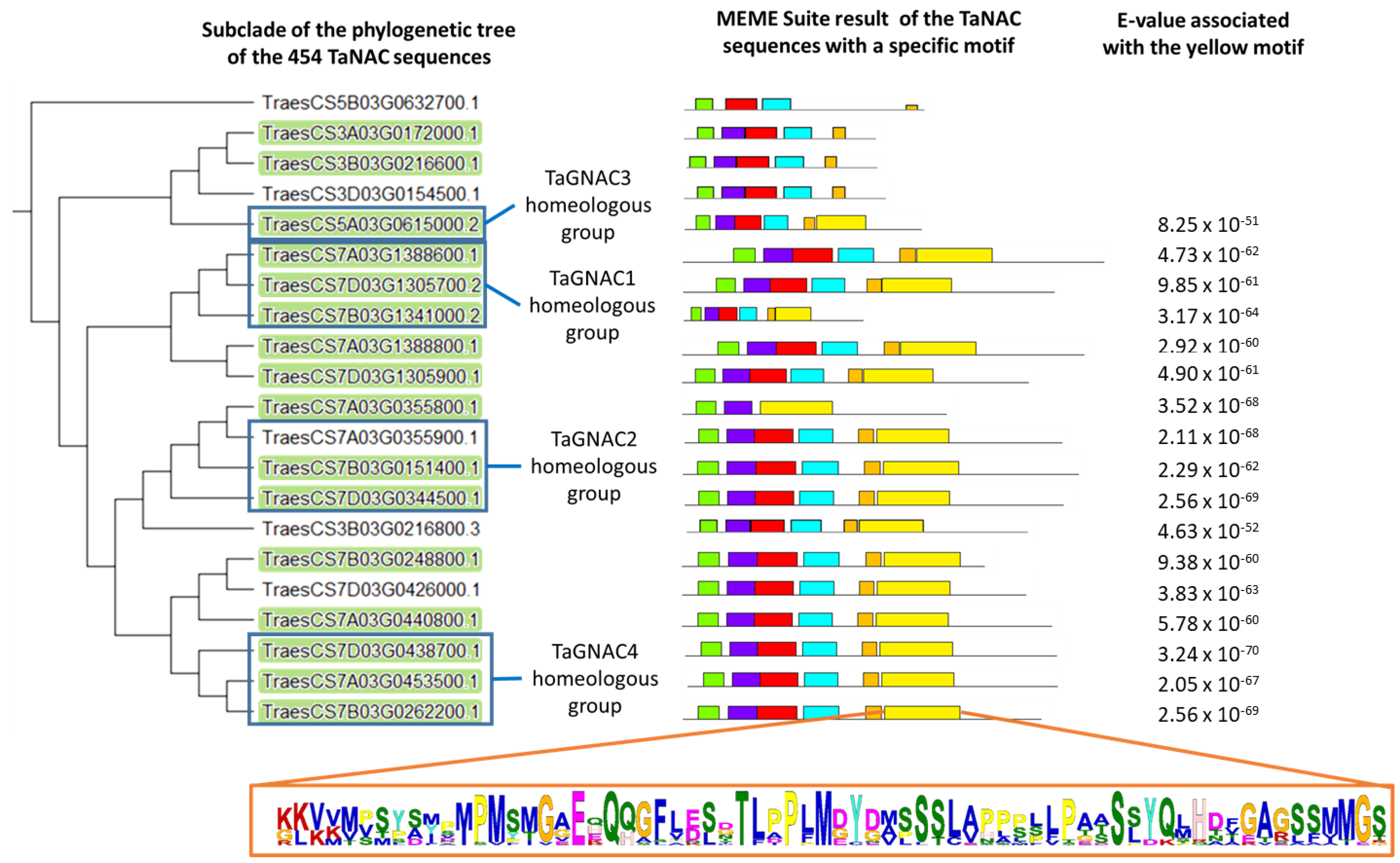 Ijms 23 11672 g003 Ijms 23 11672 g003