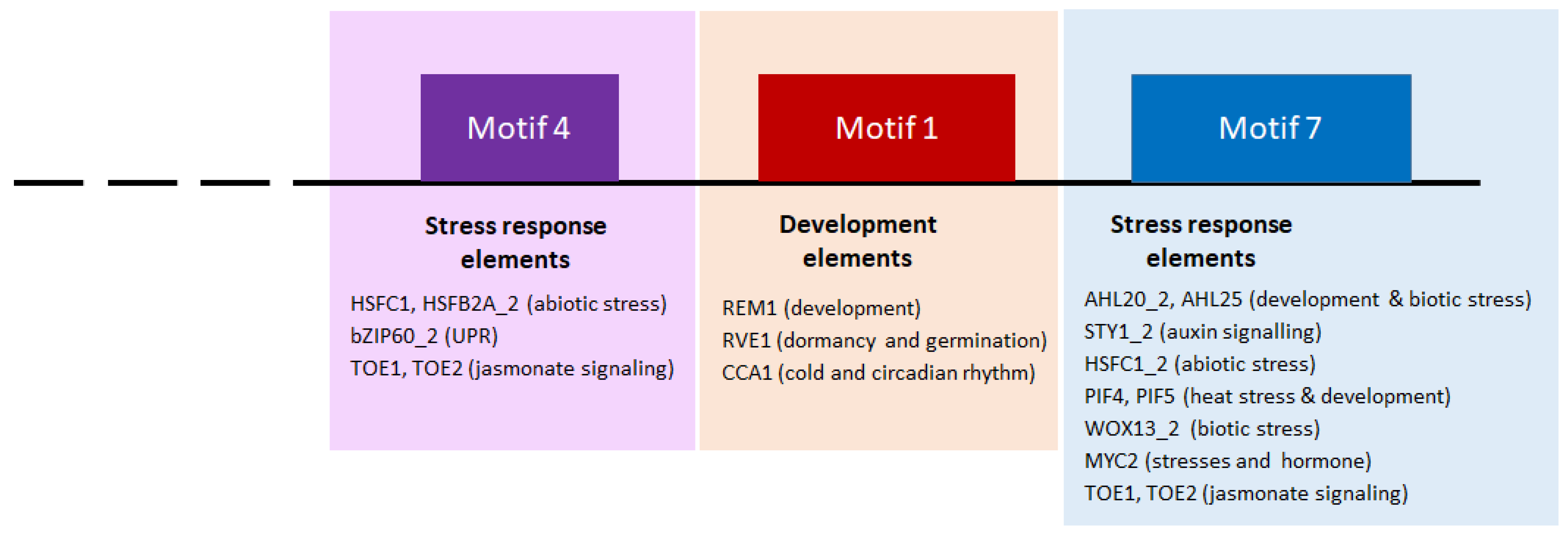 Ijms 23 11672 g008 Ijms 23 11672 g008