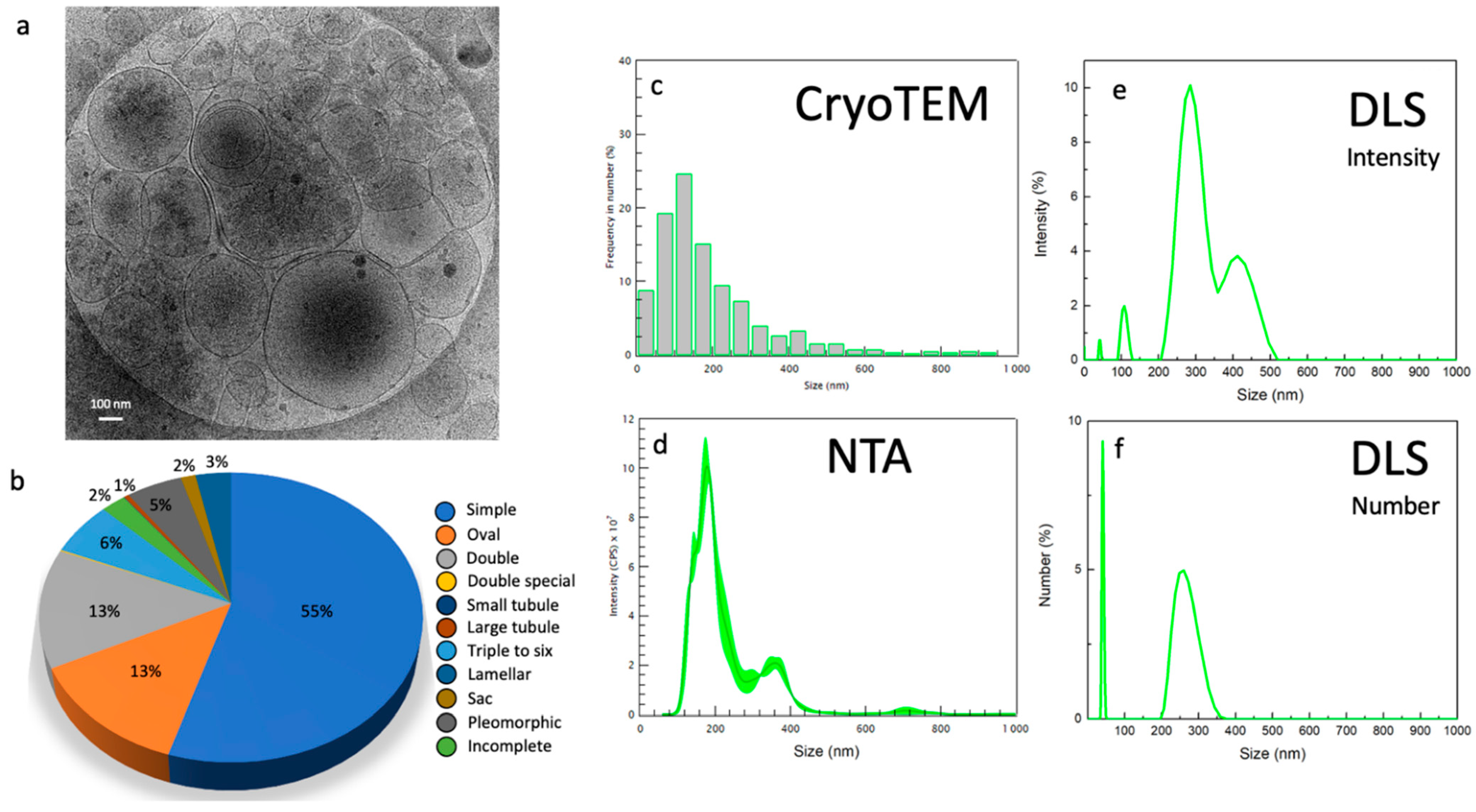 Ijms 23 11676 g005 Ijms 23 11676 g005