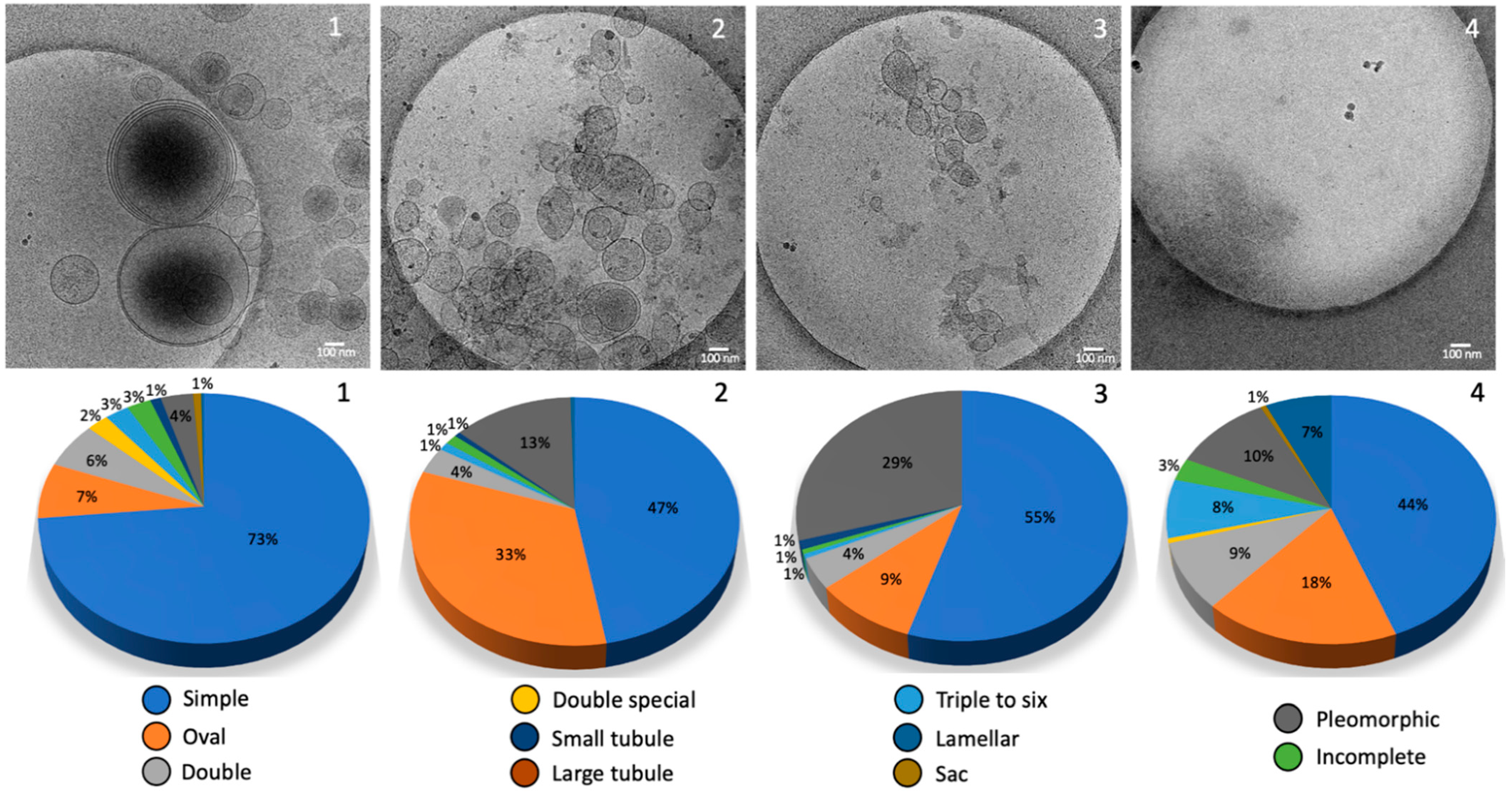Ijms 23 11676 g007 Ijms 23 11676 g007