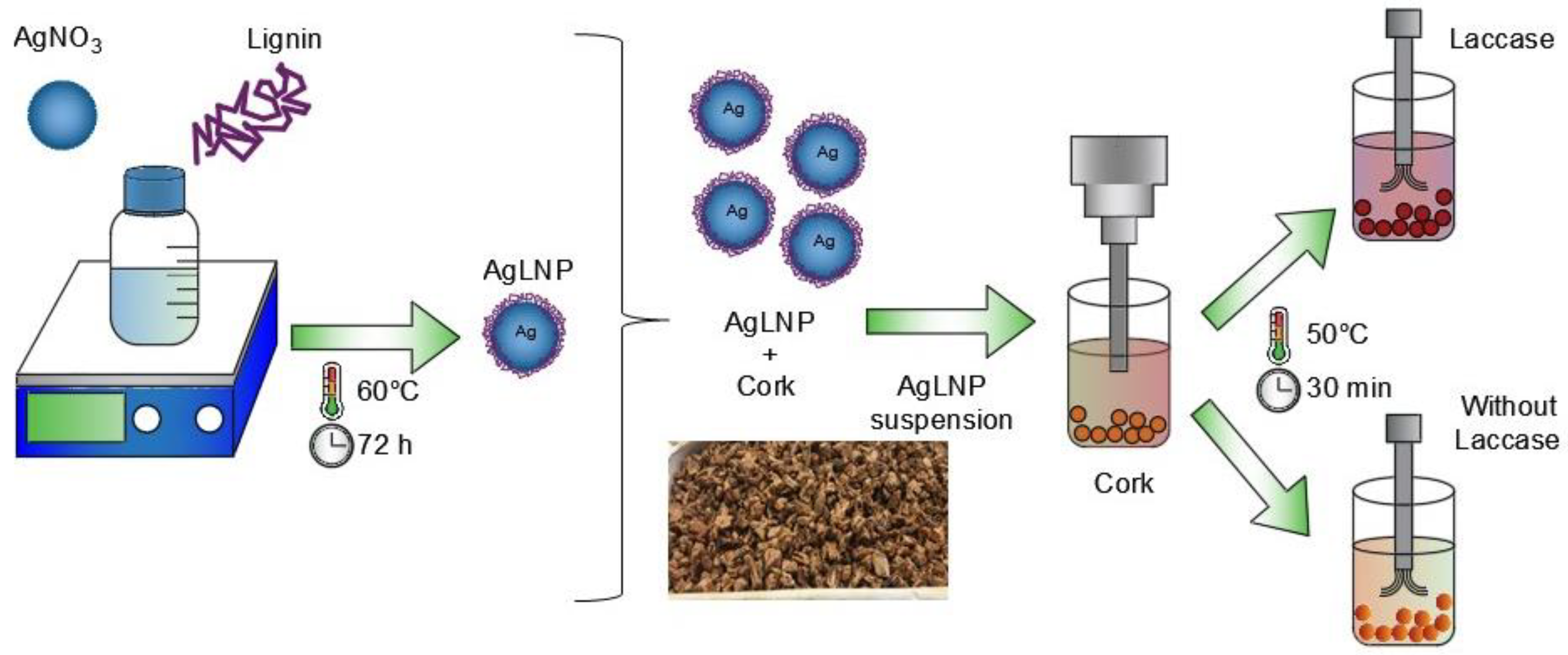 Ijms 23 11679 g001 Ijms 23 11679 g001