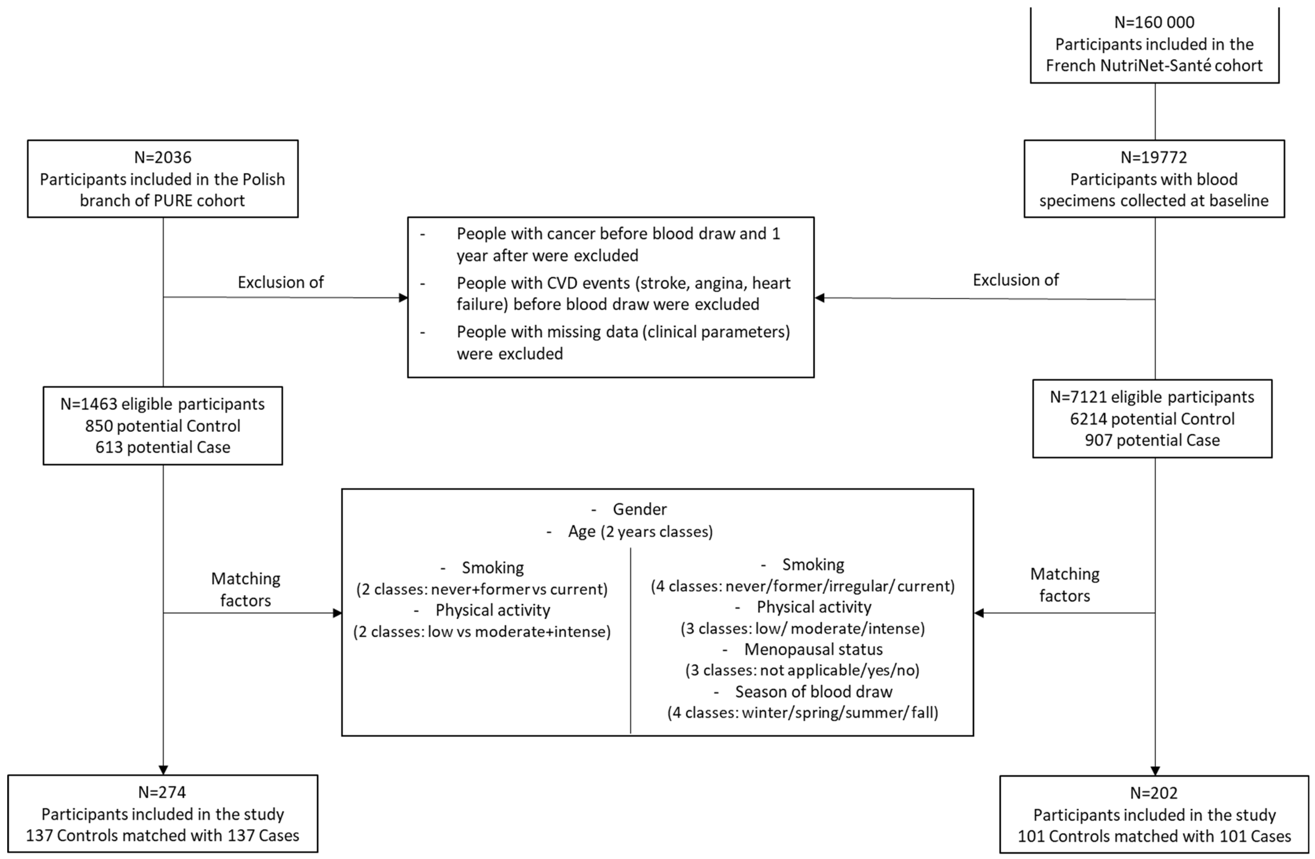 Ijms 23 11688 g007 Ijms 23 11688 g007