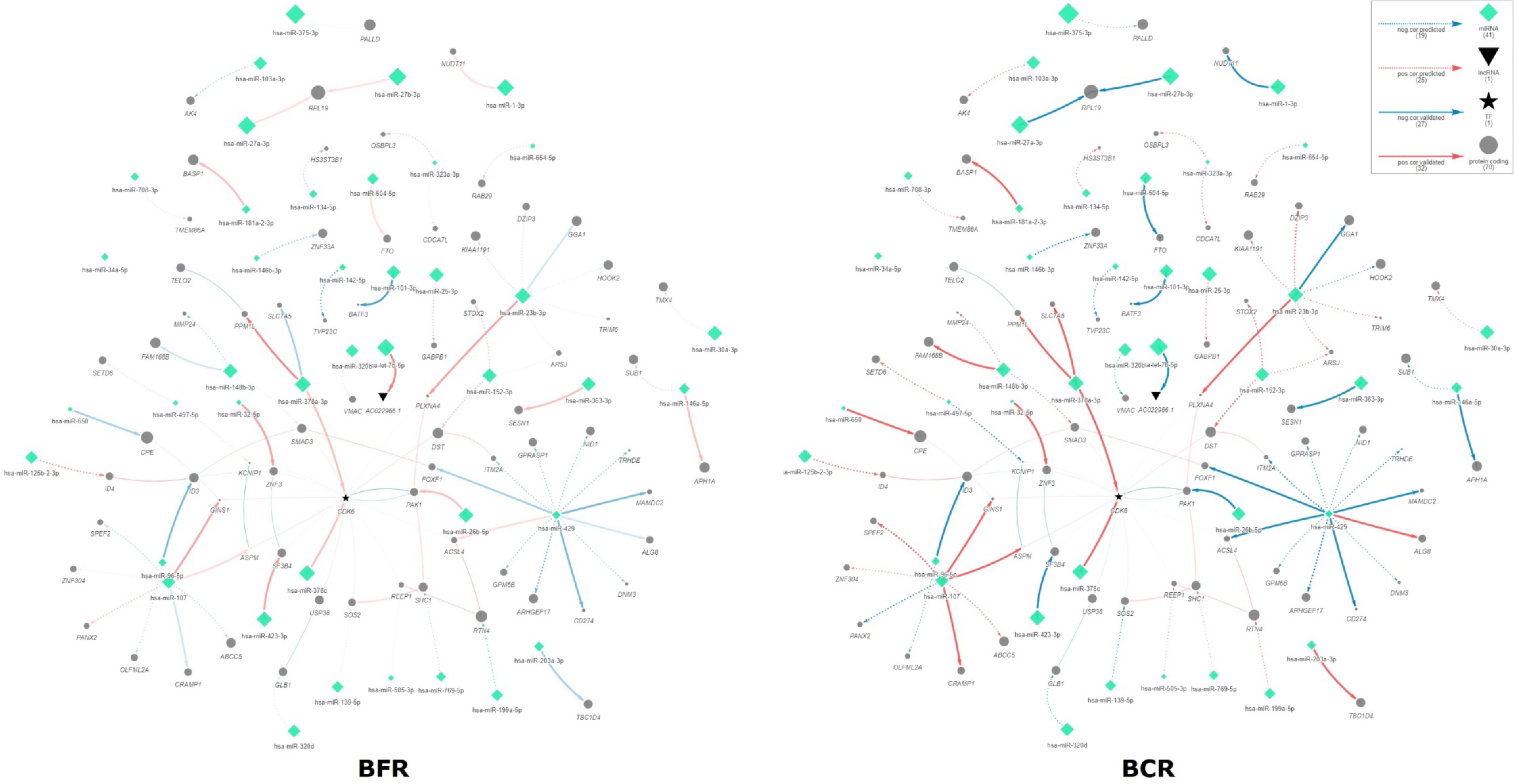 Ijms 23 11695 g003 Ijms 23 11695 g003