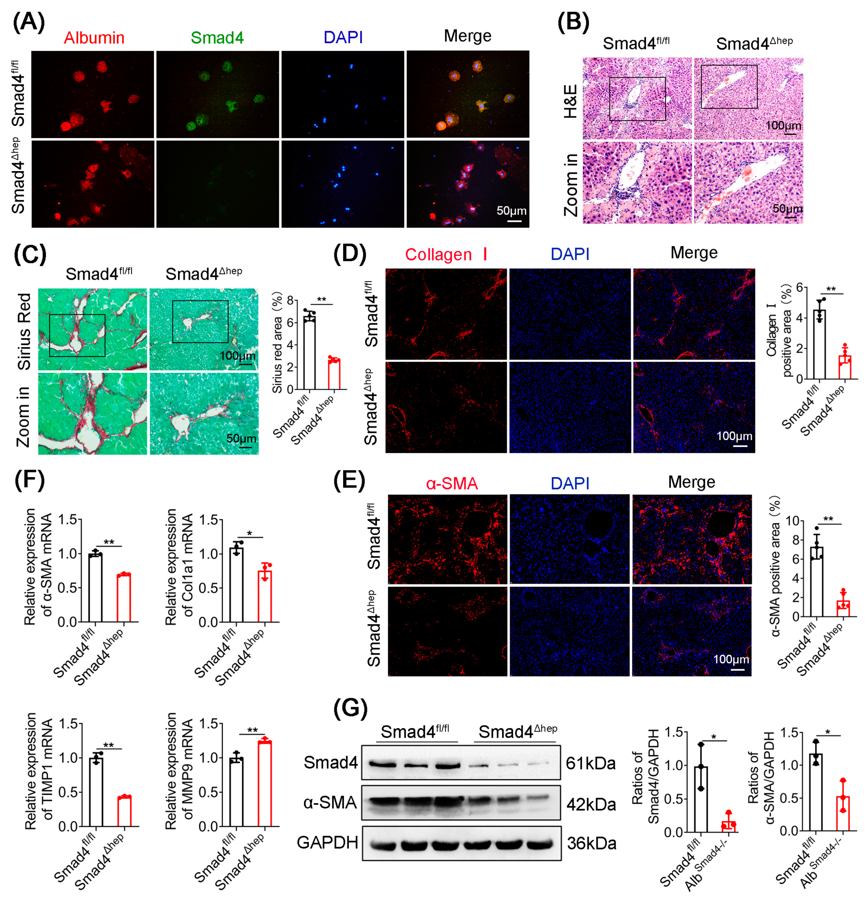 Ijms 23 11696 g002 Ijms 23 11696 g002