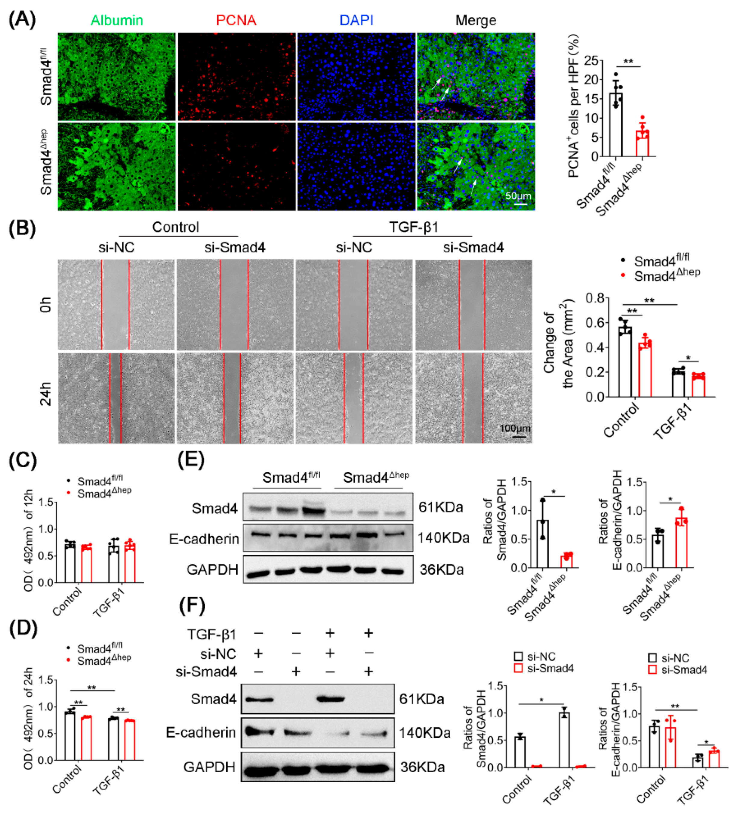 Ijms 23 11696 g003 Ijms 23 11696 g003