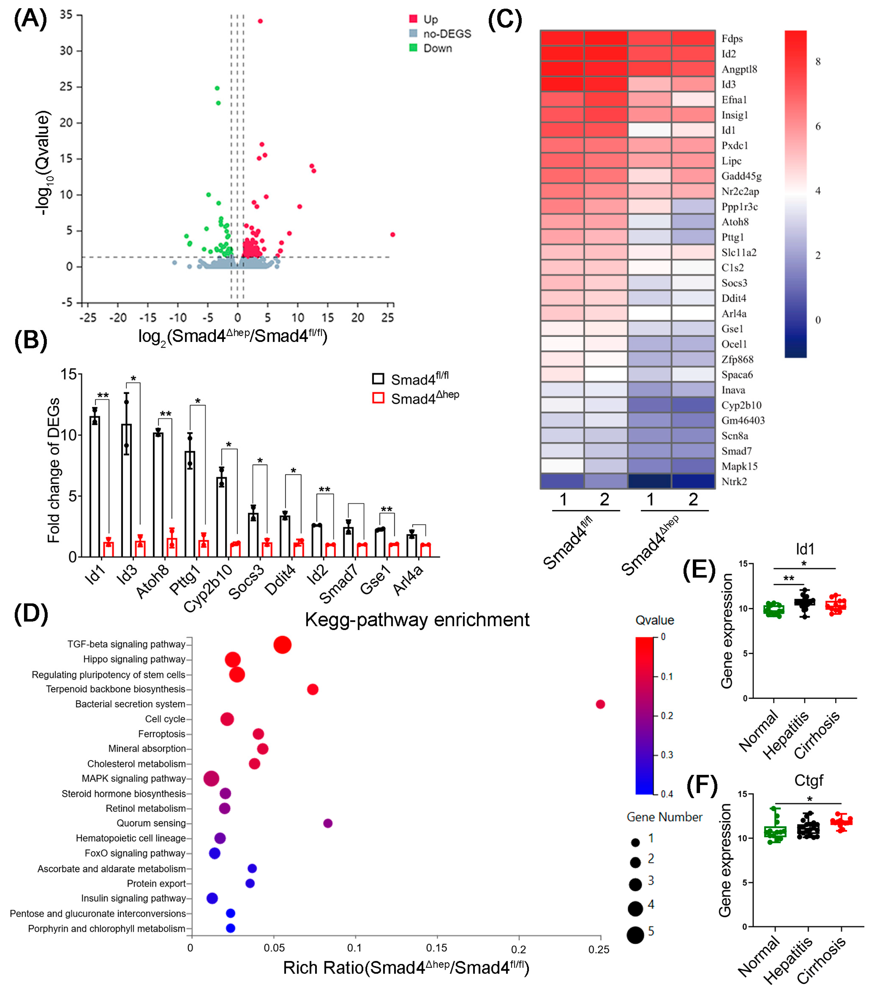 Ijms 23 11696 g004 Ijms 23 11696 g004