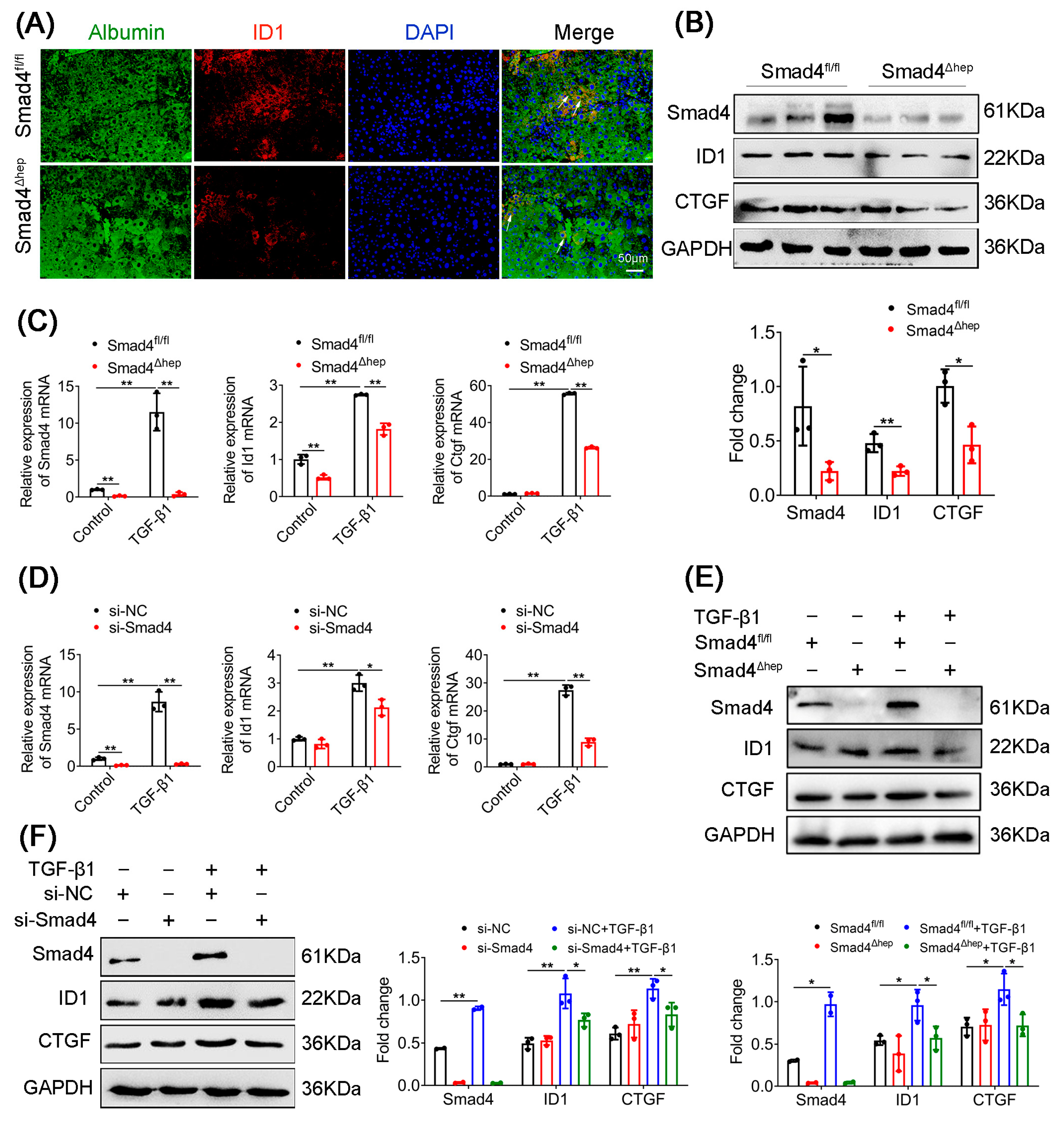 Ijms 23 11696 g005 Ijms 23 11696 g005