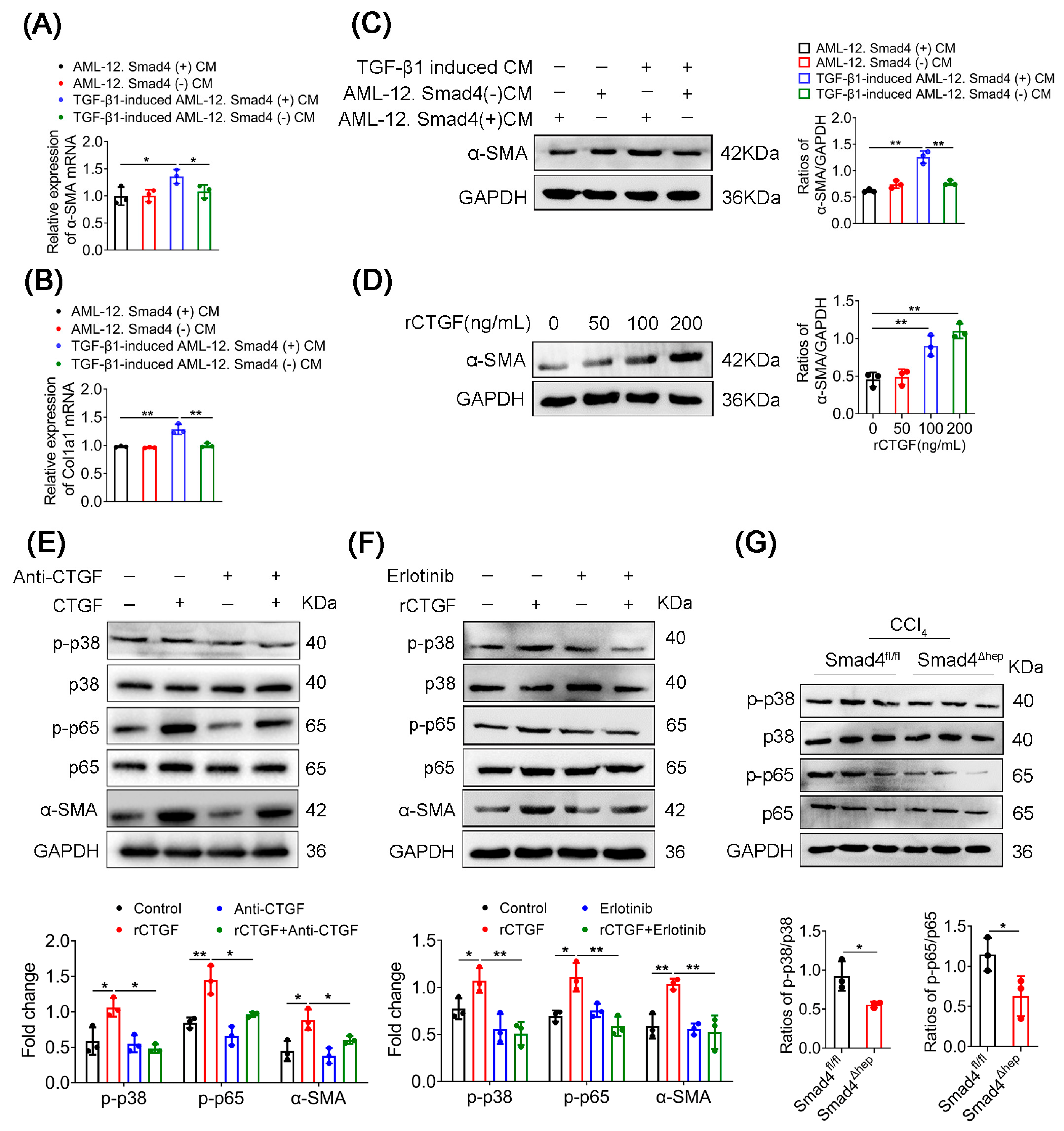 Ijms 23 11696 g006 Ijms 23 11696 g006