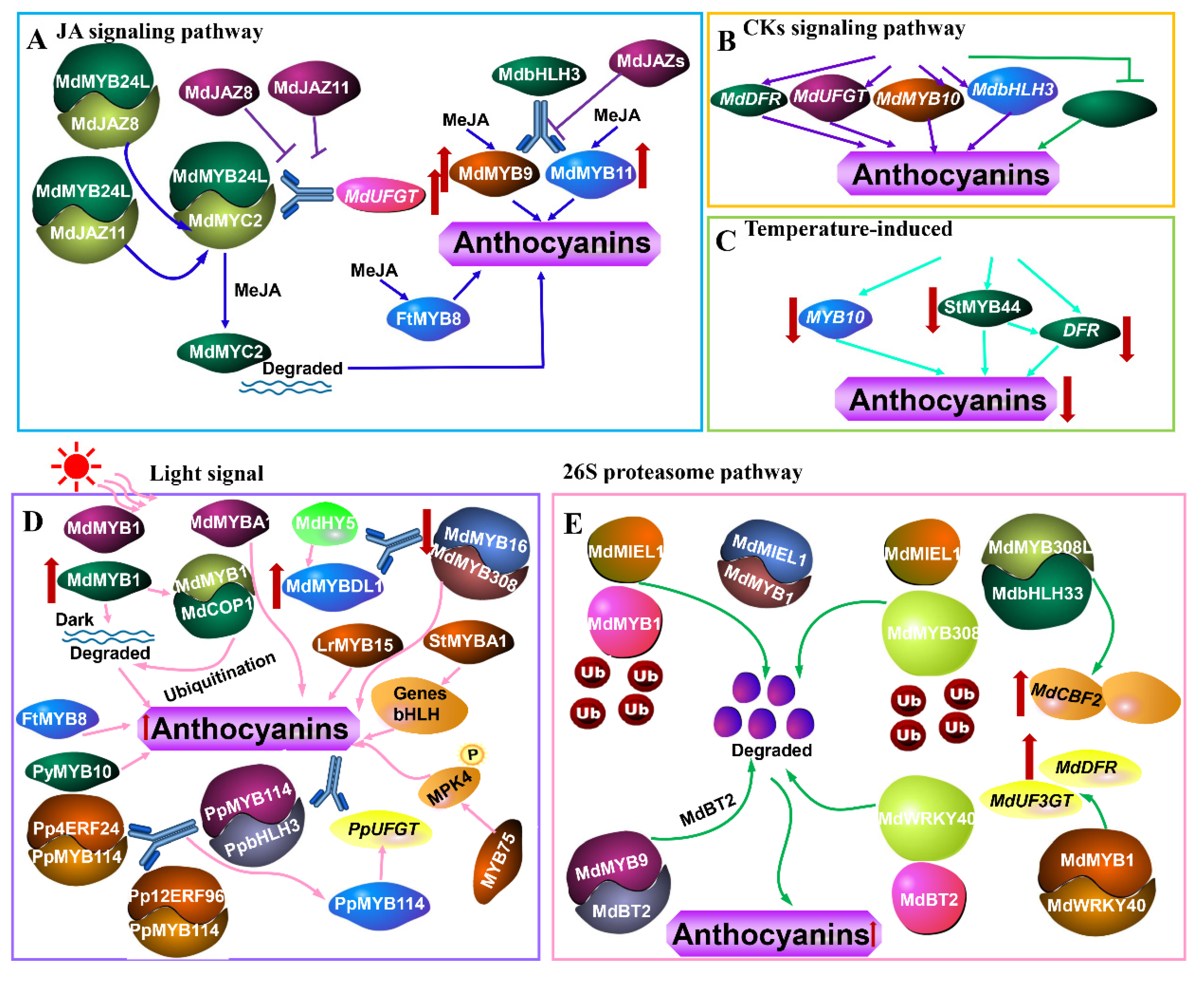 Ijms 23 11701 g001 Ijms 23 11701 g001