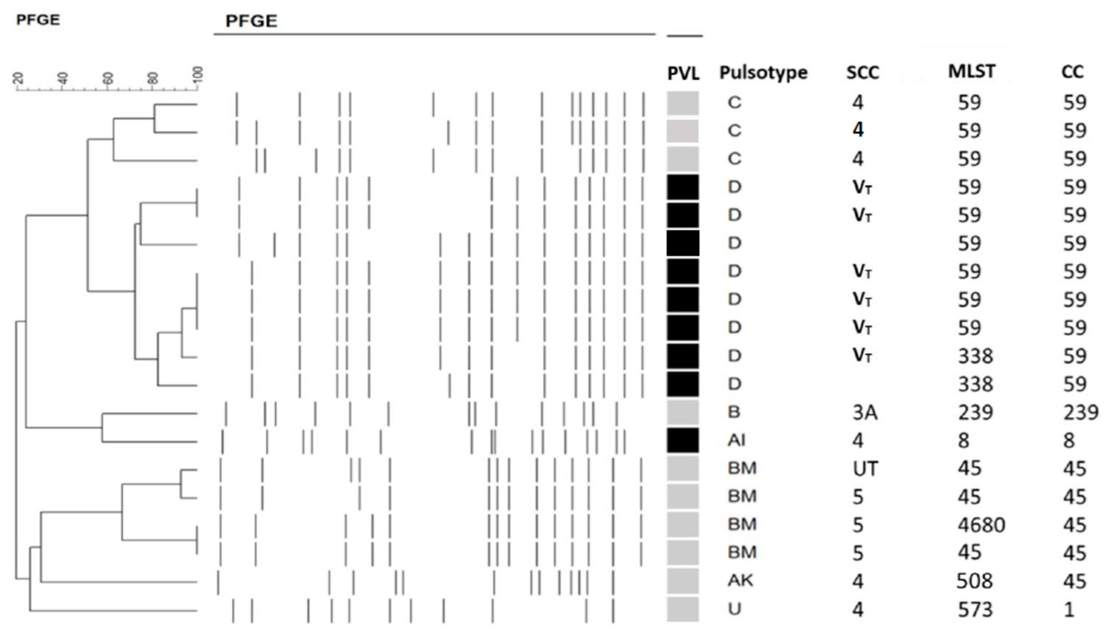 Ijms 23 11703 g001 Ijms 23 11703 g001