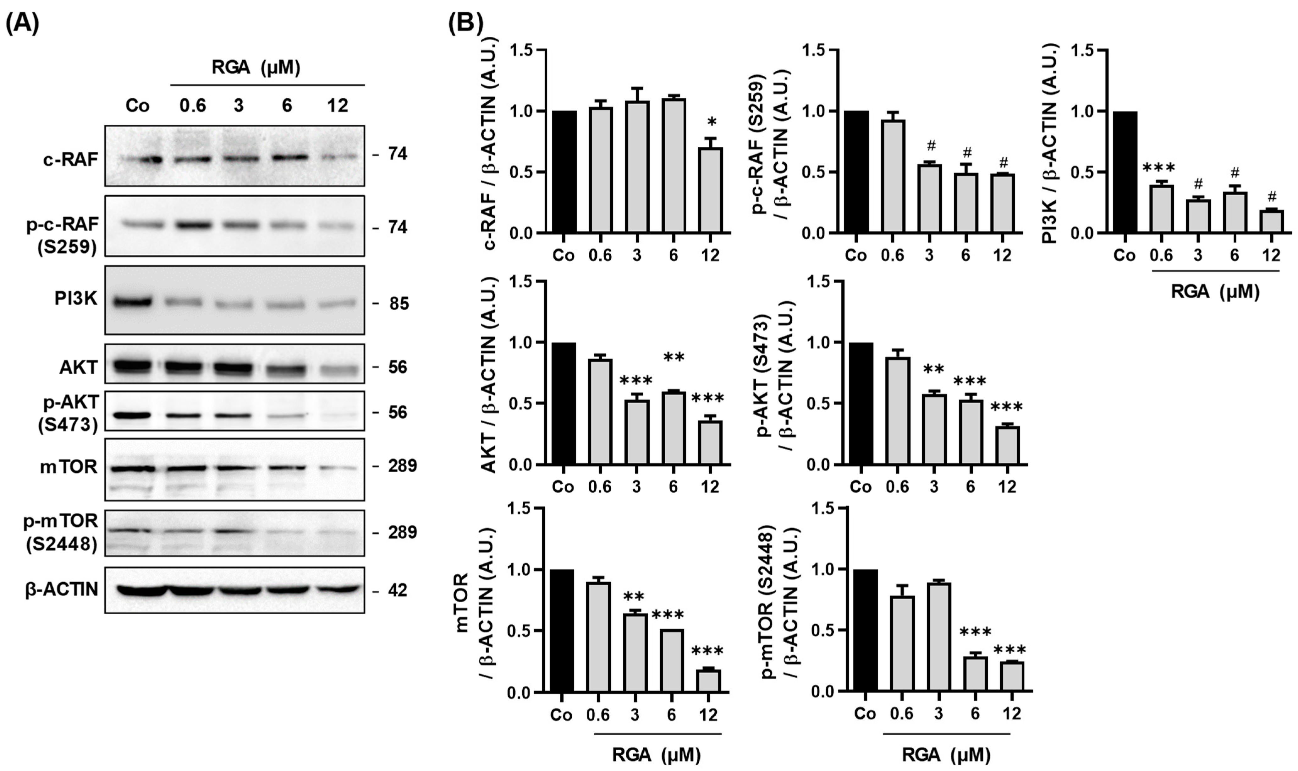 Ijms 23 11704 g002 Ijms 23 11704 g002