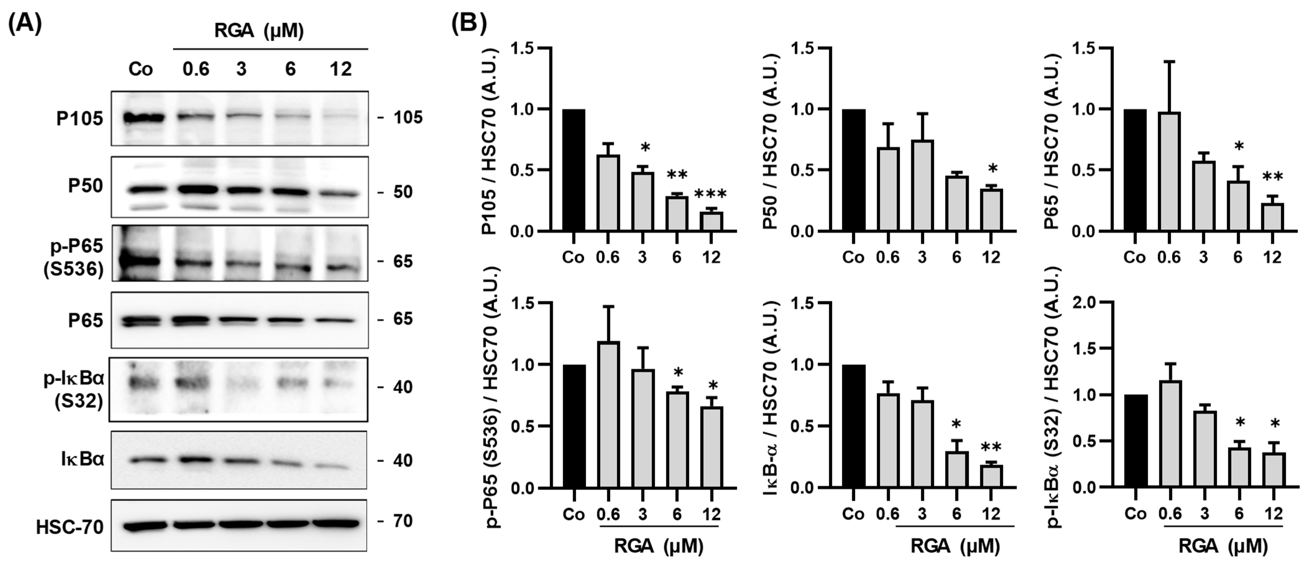 Ijms 23 11704 g003 Ijms 23 11704 g003
