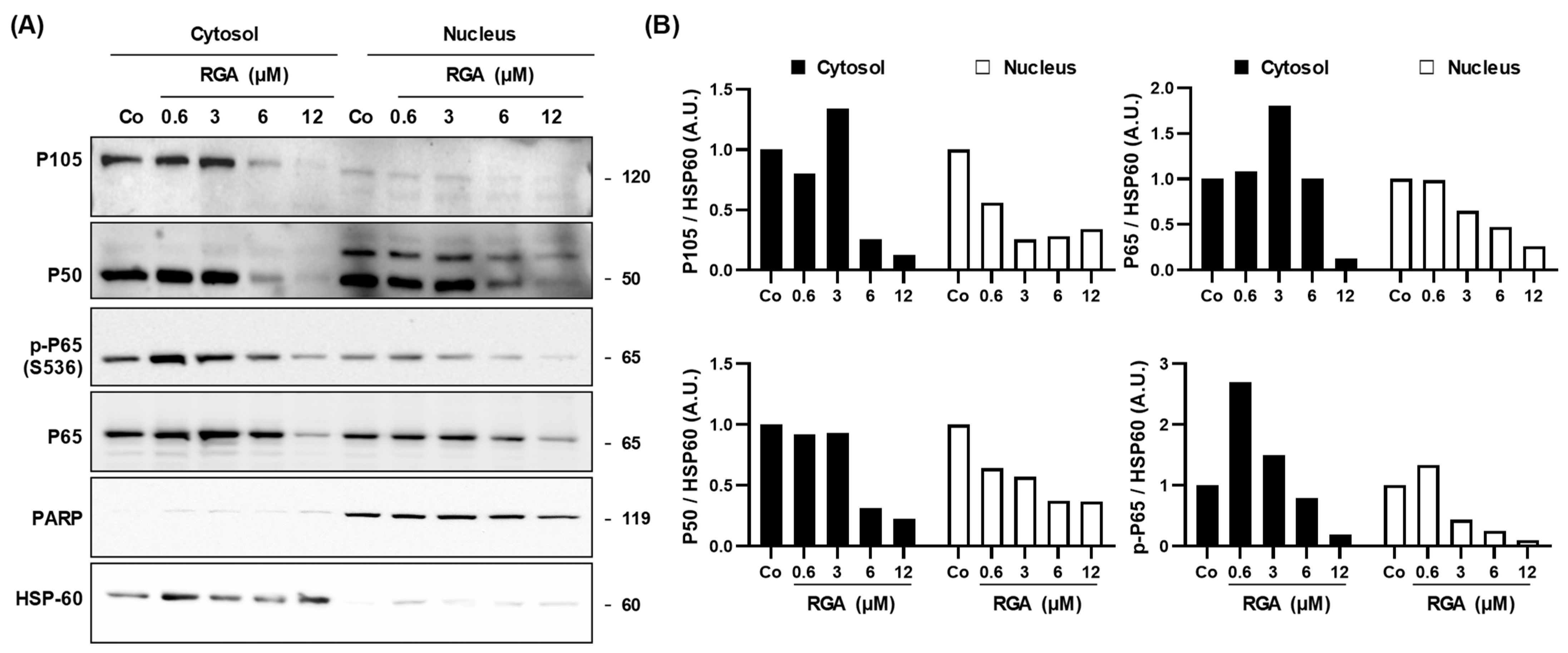 Ijms 23 11704 g004 Ijms 23 11704 g004