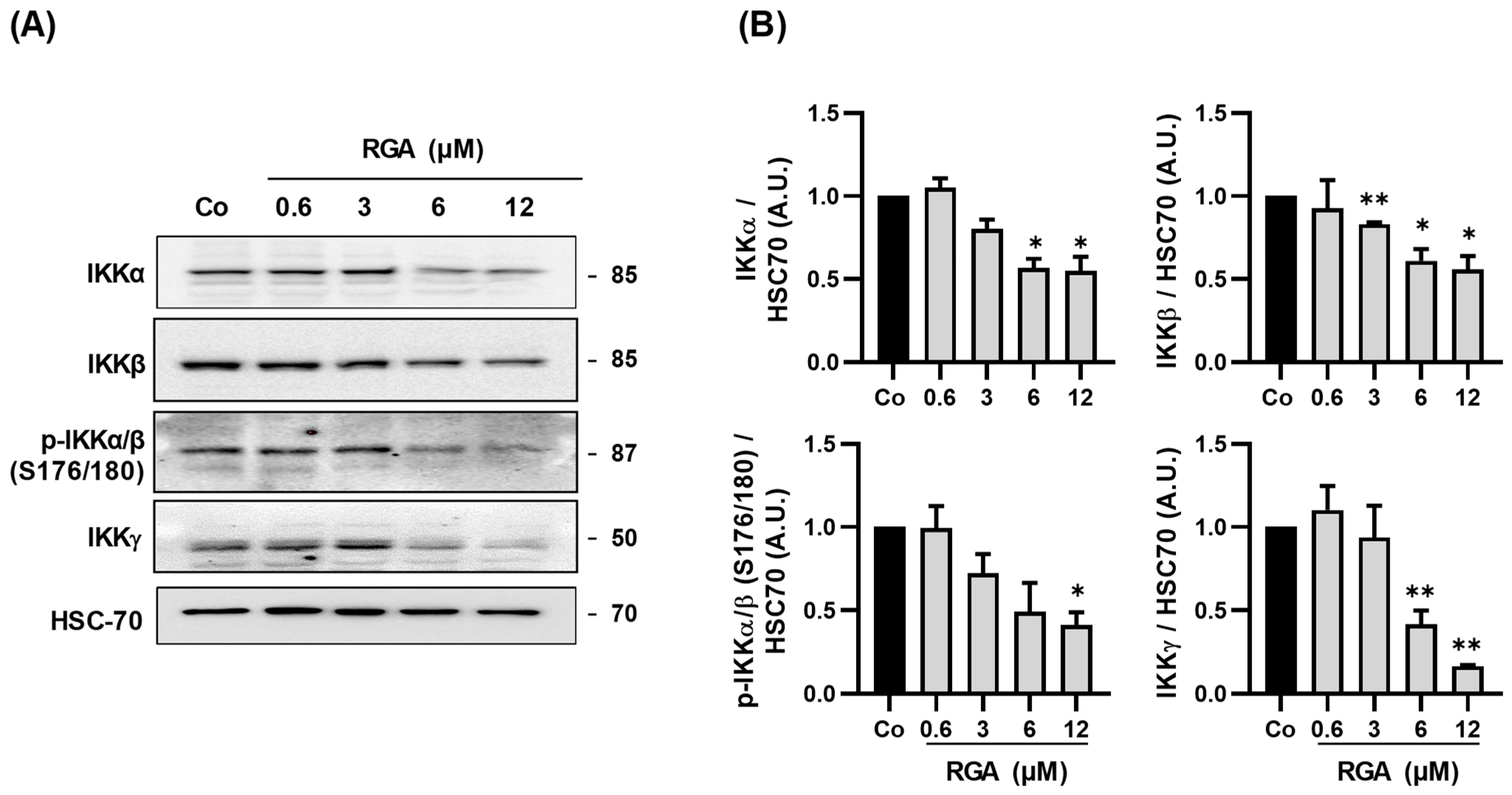 Ijms 23 11704 g005 Ijms 23 11704 g005