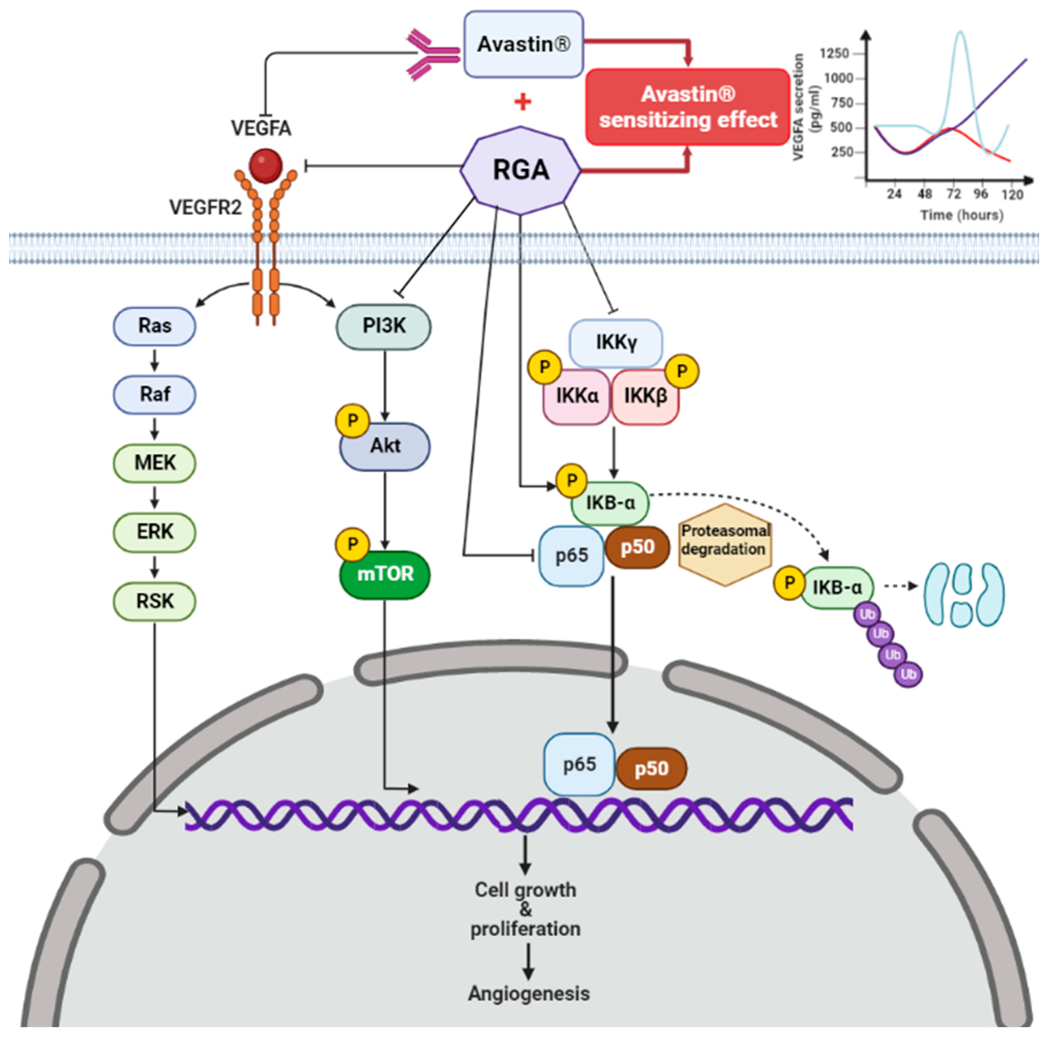 Ijms 23 11704 g007 Ijms 23 11704 g007