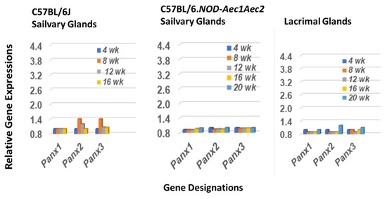 Frontiers | The gamma-glutamyl transpeptidase to platelet