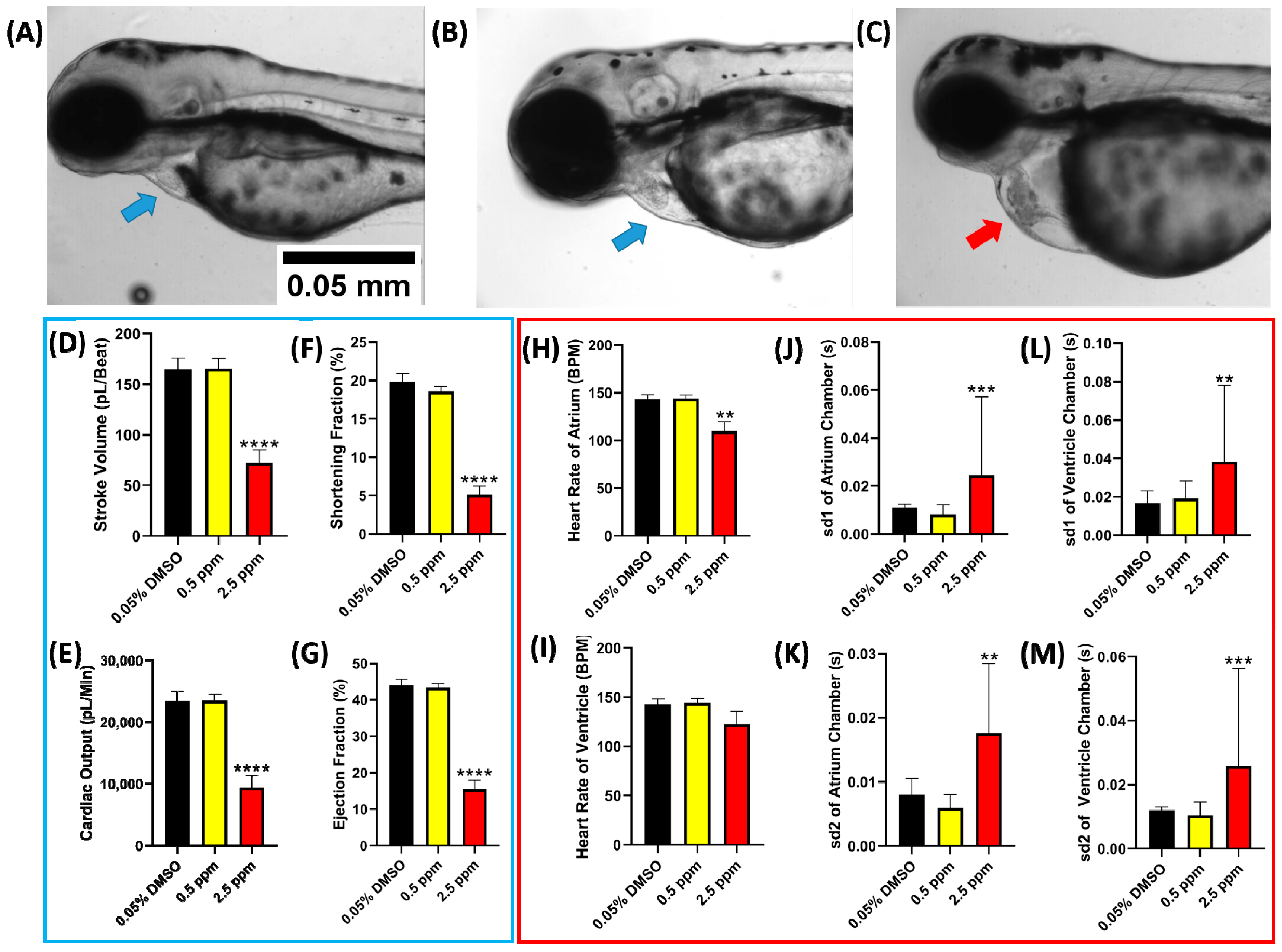 Ijms 23 11711 g002 Ijms 23 11711 g002