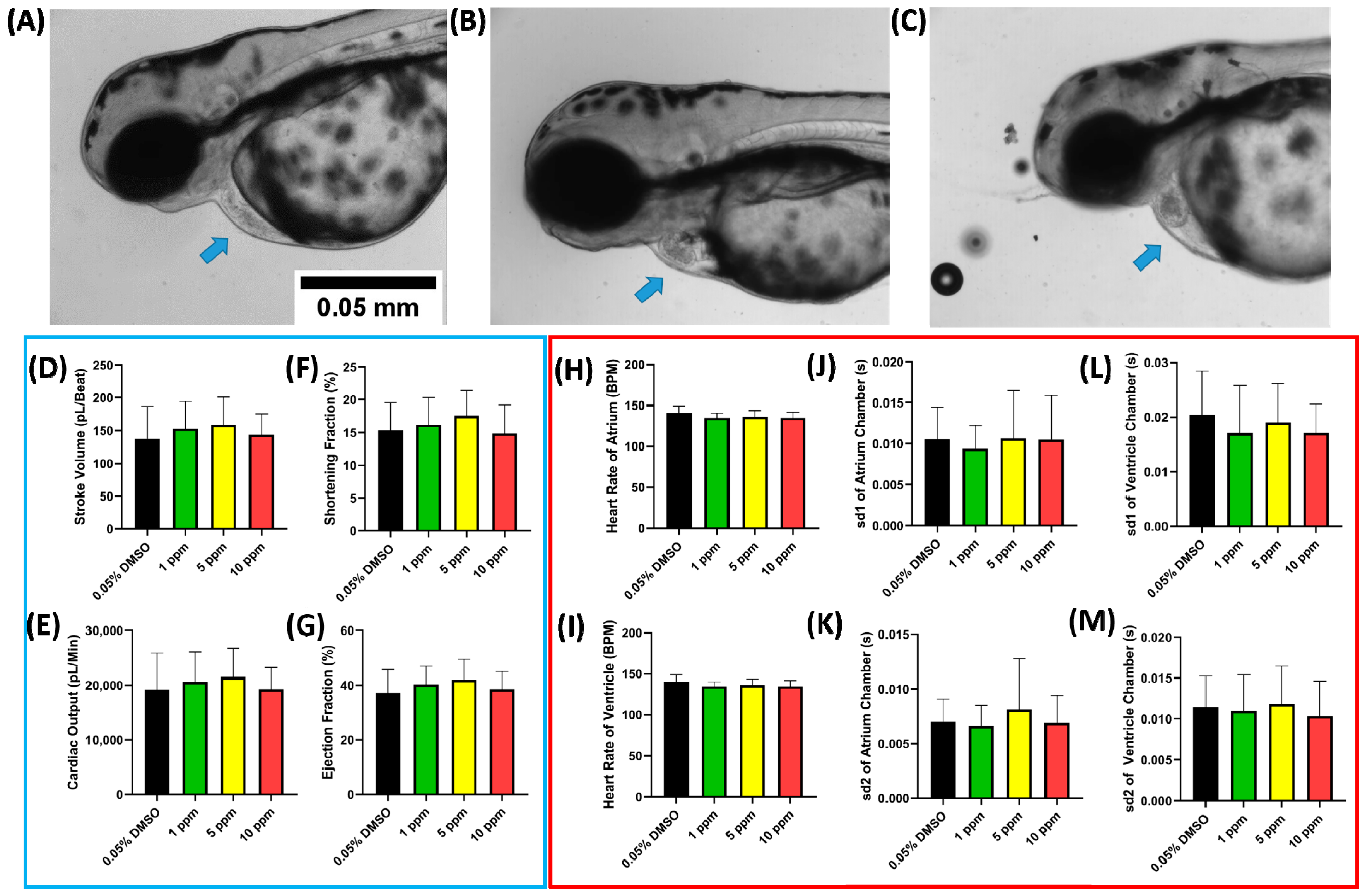 Ijms 23 11711 g003 Ijms 23 11711 g003