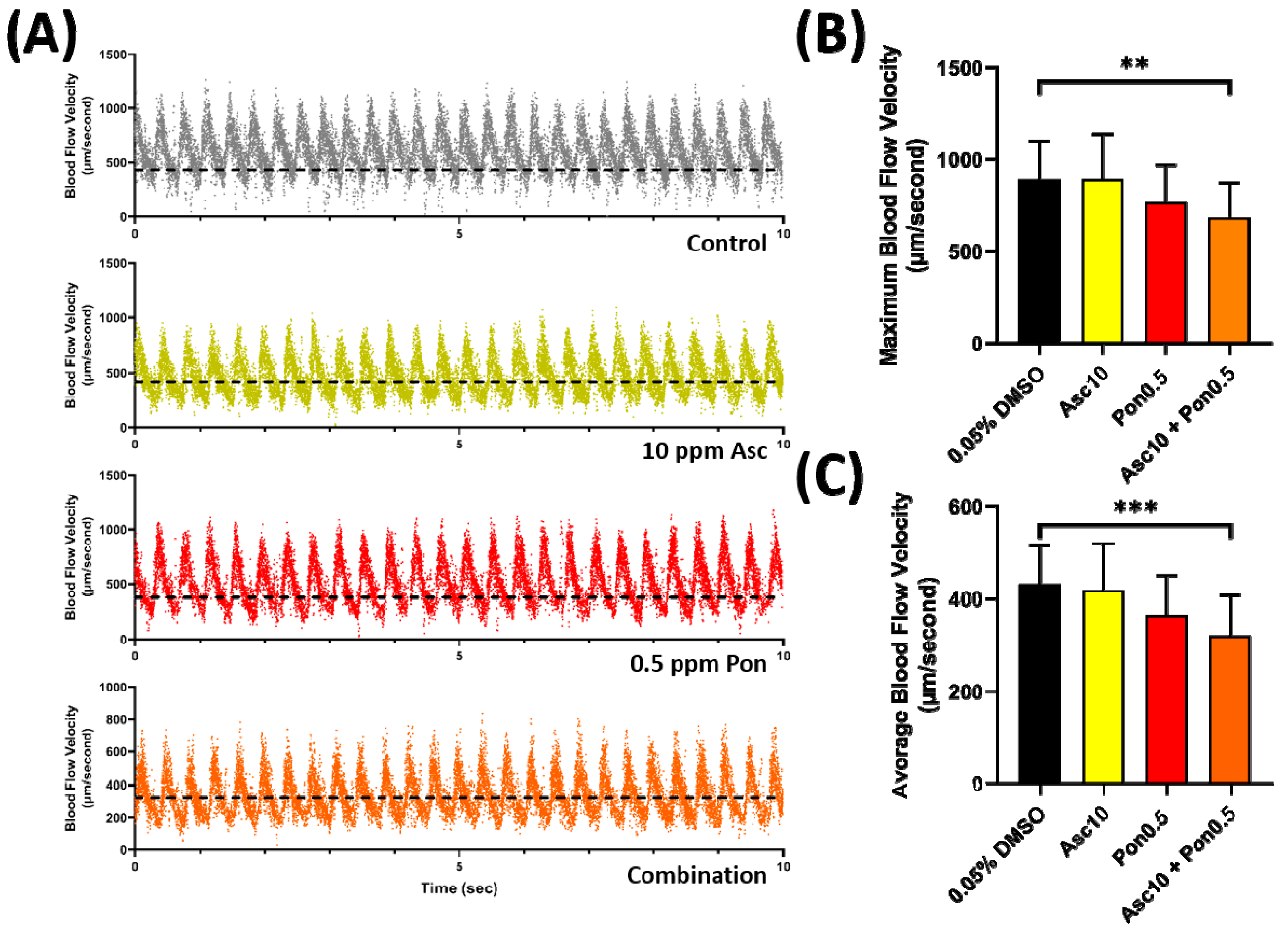 Ijms 23 11711 g006 Ijms 23 11711 g006