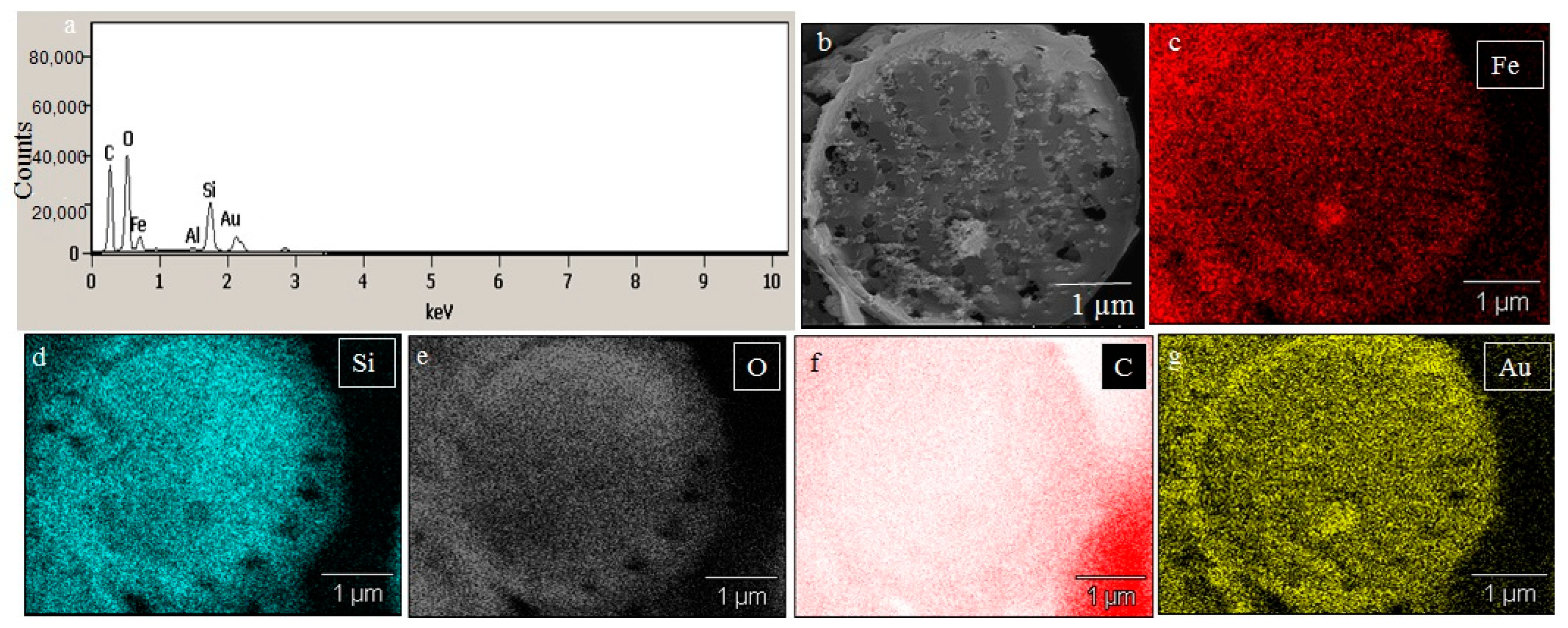 Ijms 23 11713 g003 Ijms 23 11713 g003