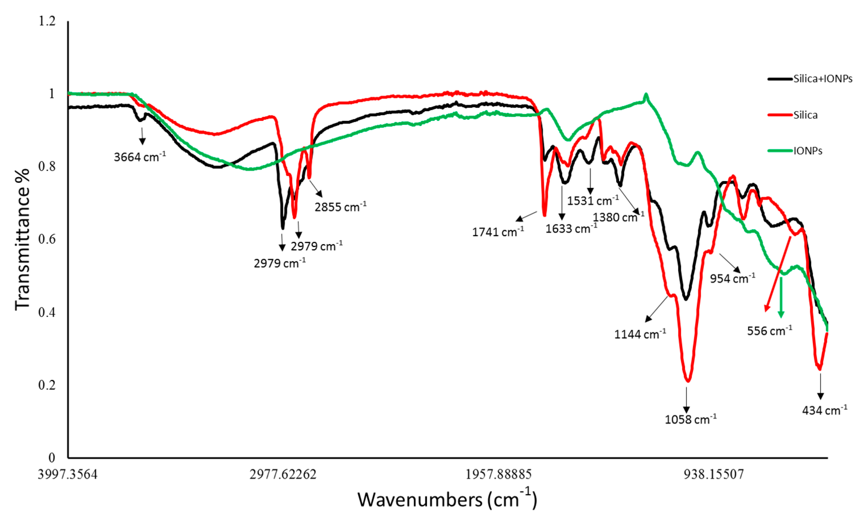 Ijms 23 11713 g004 Ijms 23 11713 g004