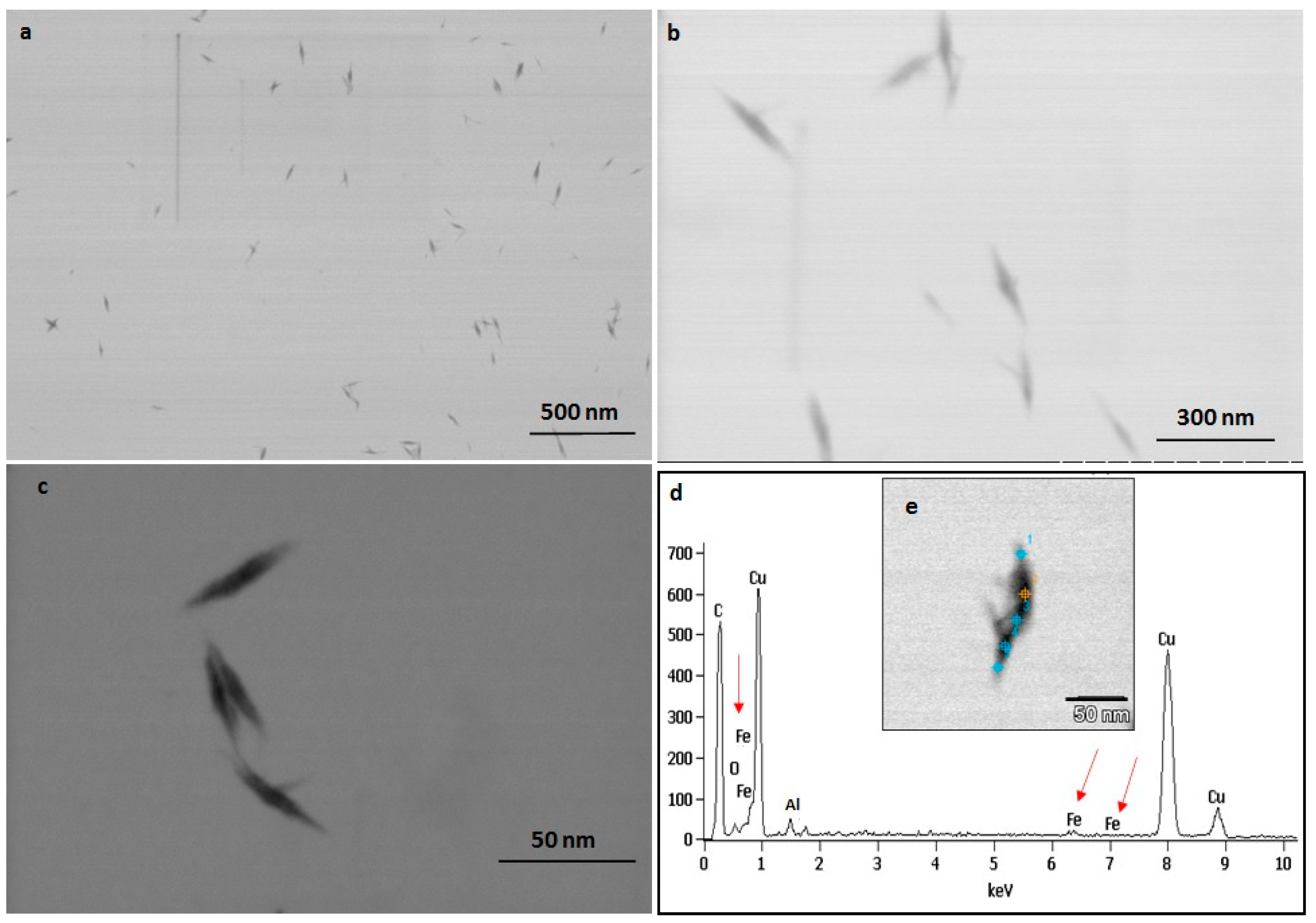 Ijms 23 11713 g008 Ijms 23 11713 g008