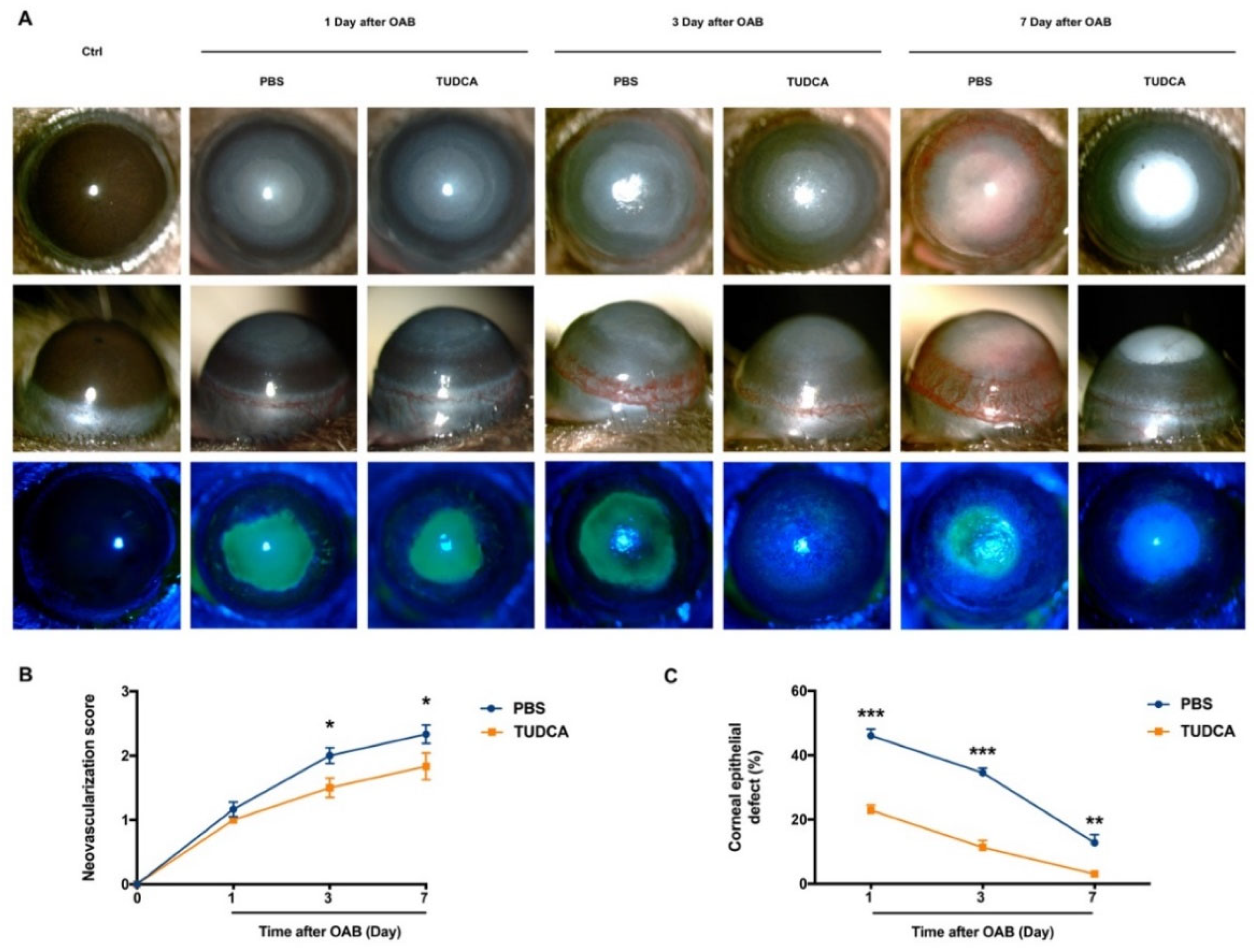 Ijms 23 11717 g001 Ijms 23 11717 g001