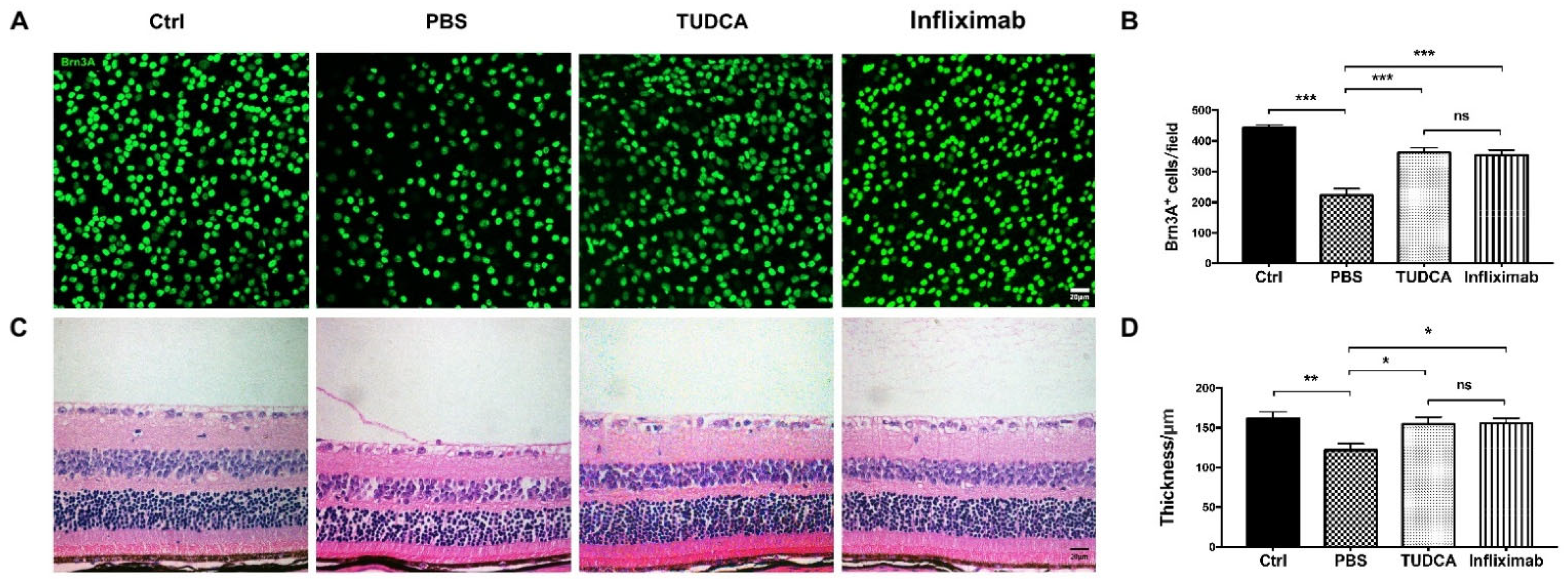 Ijms 23 11717 g003 Ijms 23 11717 g003
