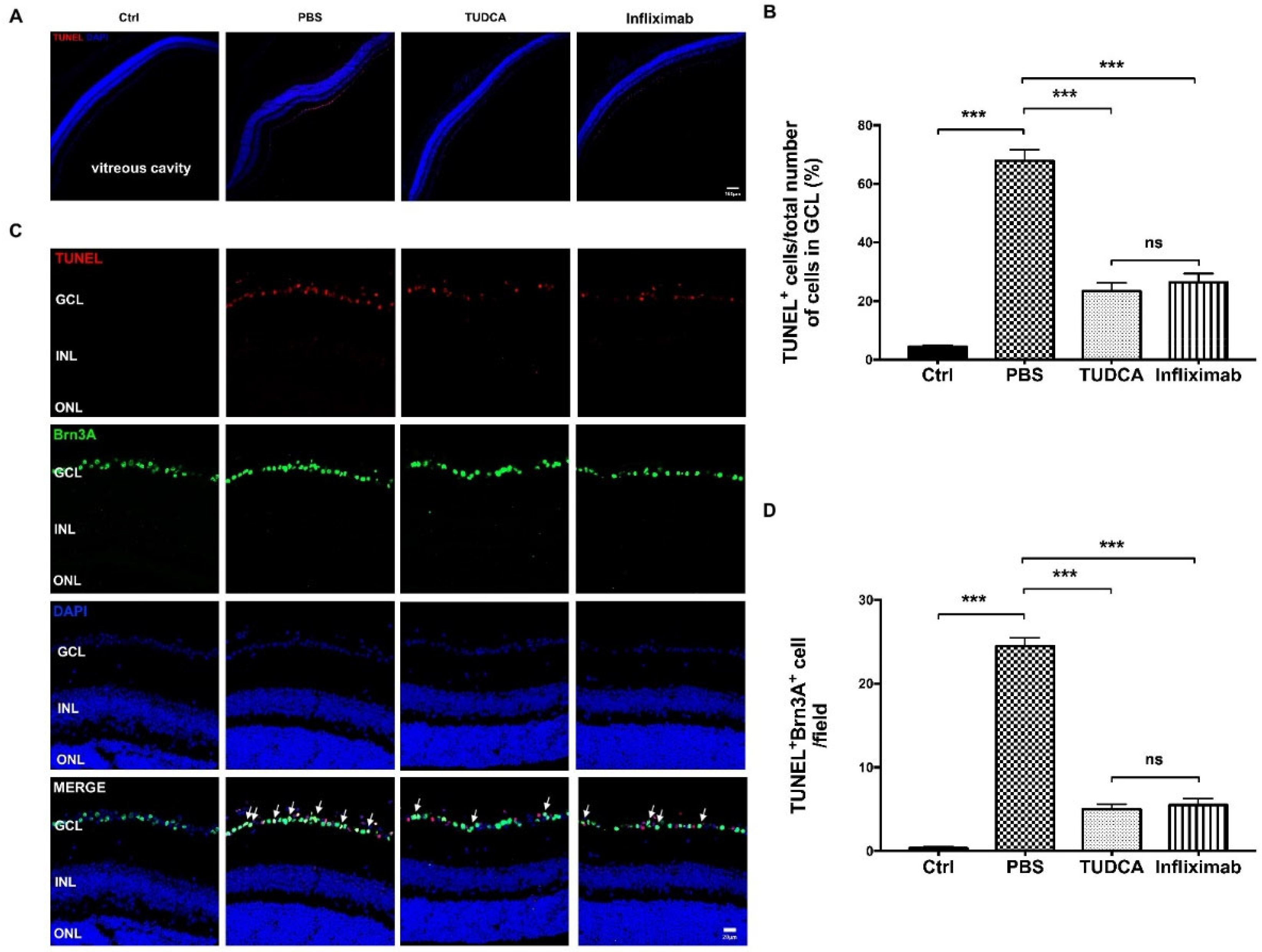 Ijms 23 11717 g004 Ijms 23 11717 g004