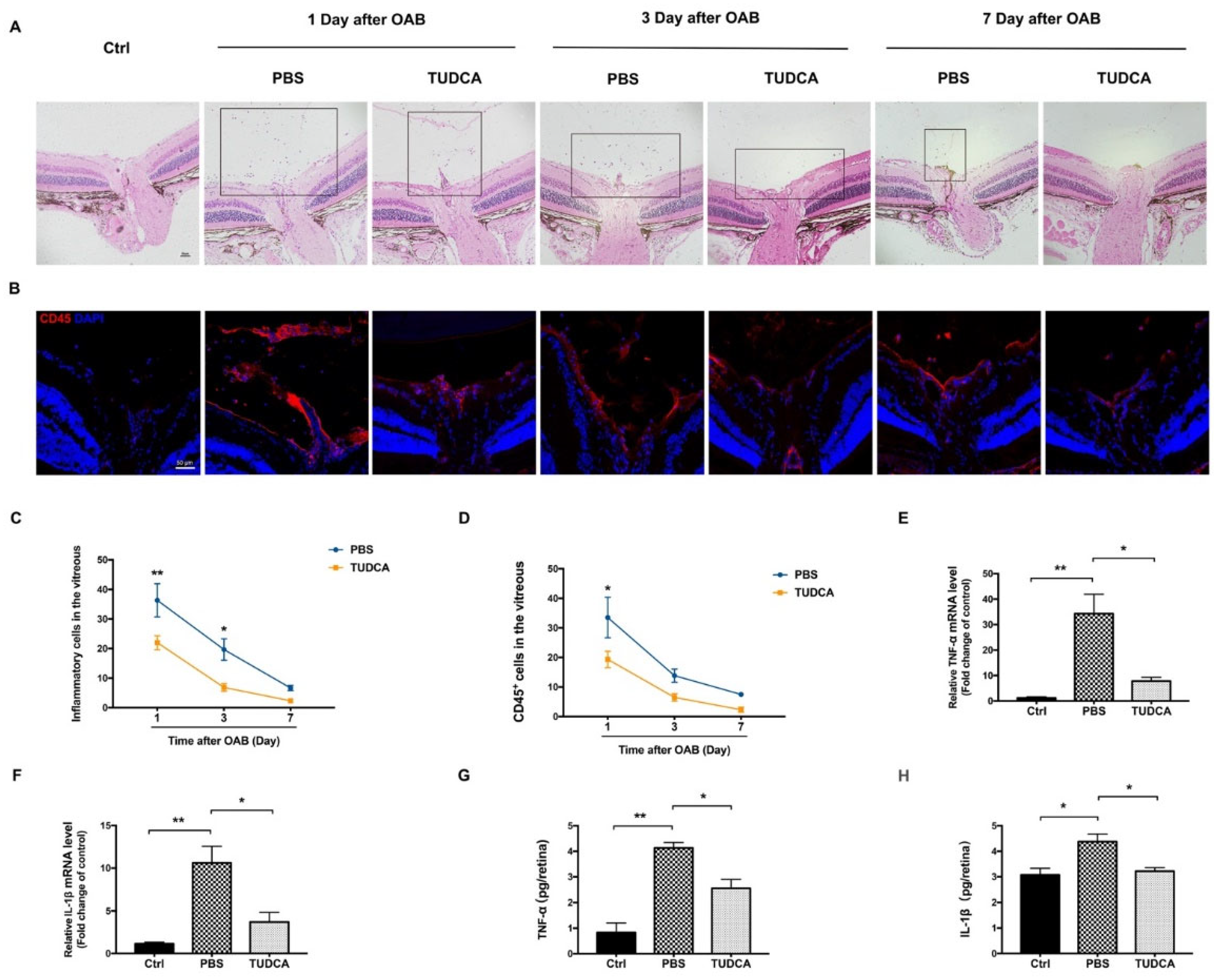Ijms 23 11717 g005 Ijms 23 11717 g005