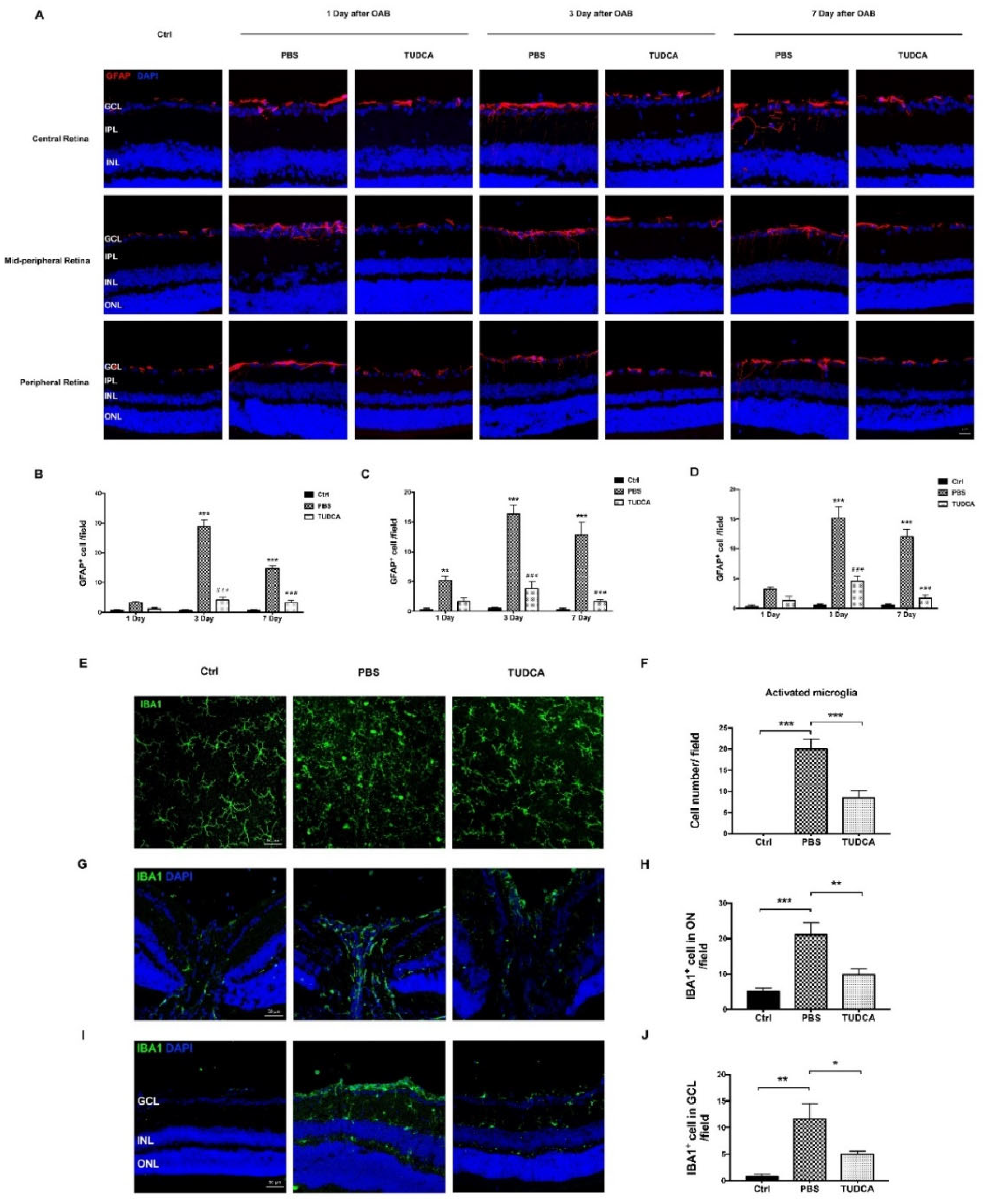 Ijms 23 11717 g006 Ijms 23 11717 g006
