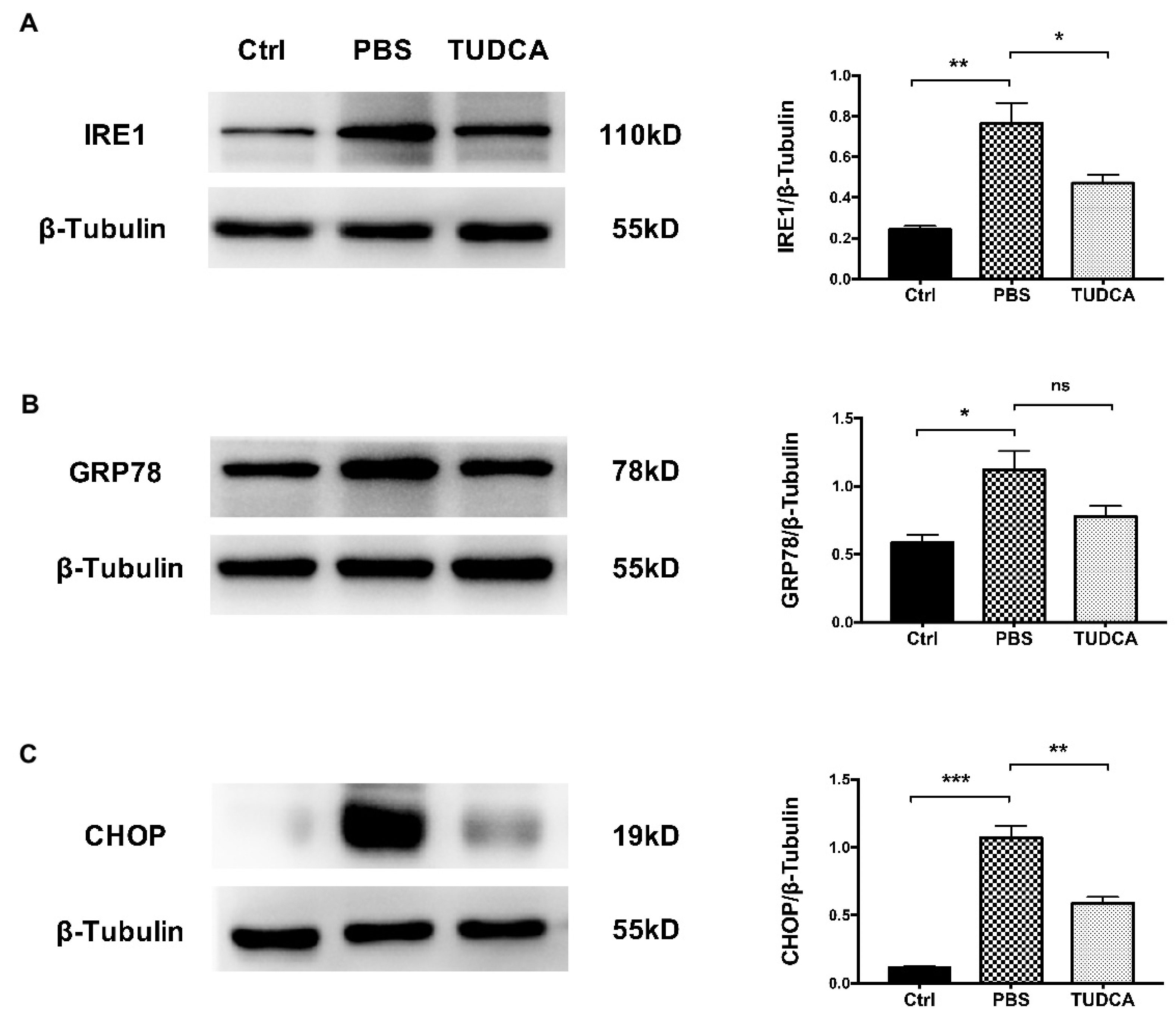 Ijms 23 11717 g007 Ijms 23 11717 g007