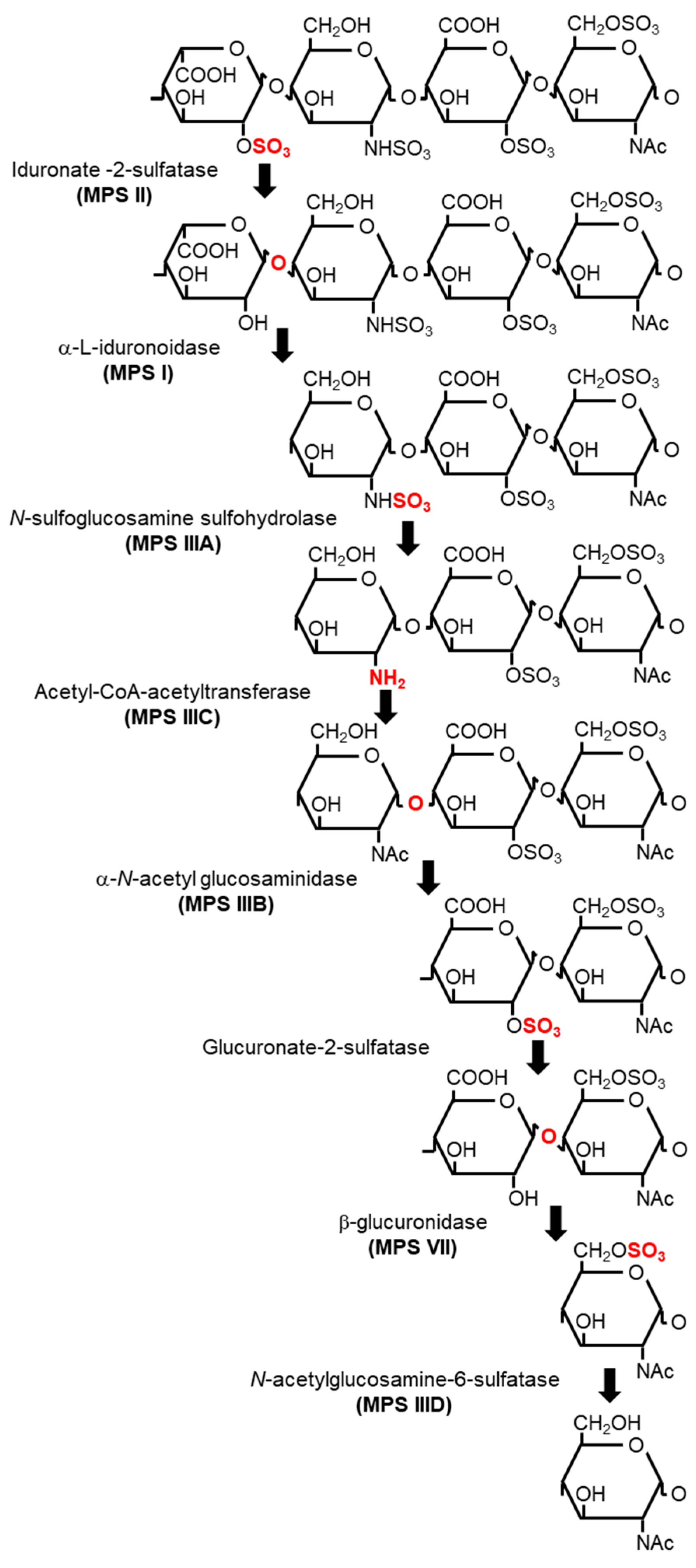 Ijms 23 11724 g002 Ijms 23 11724 g002
