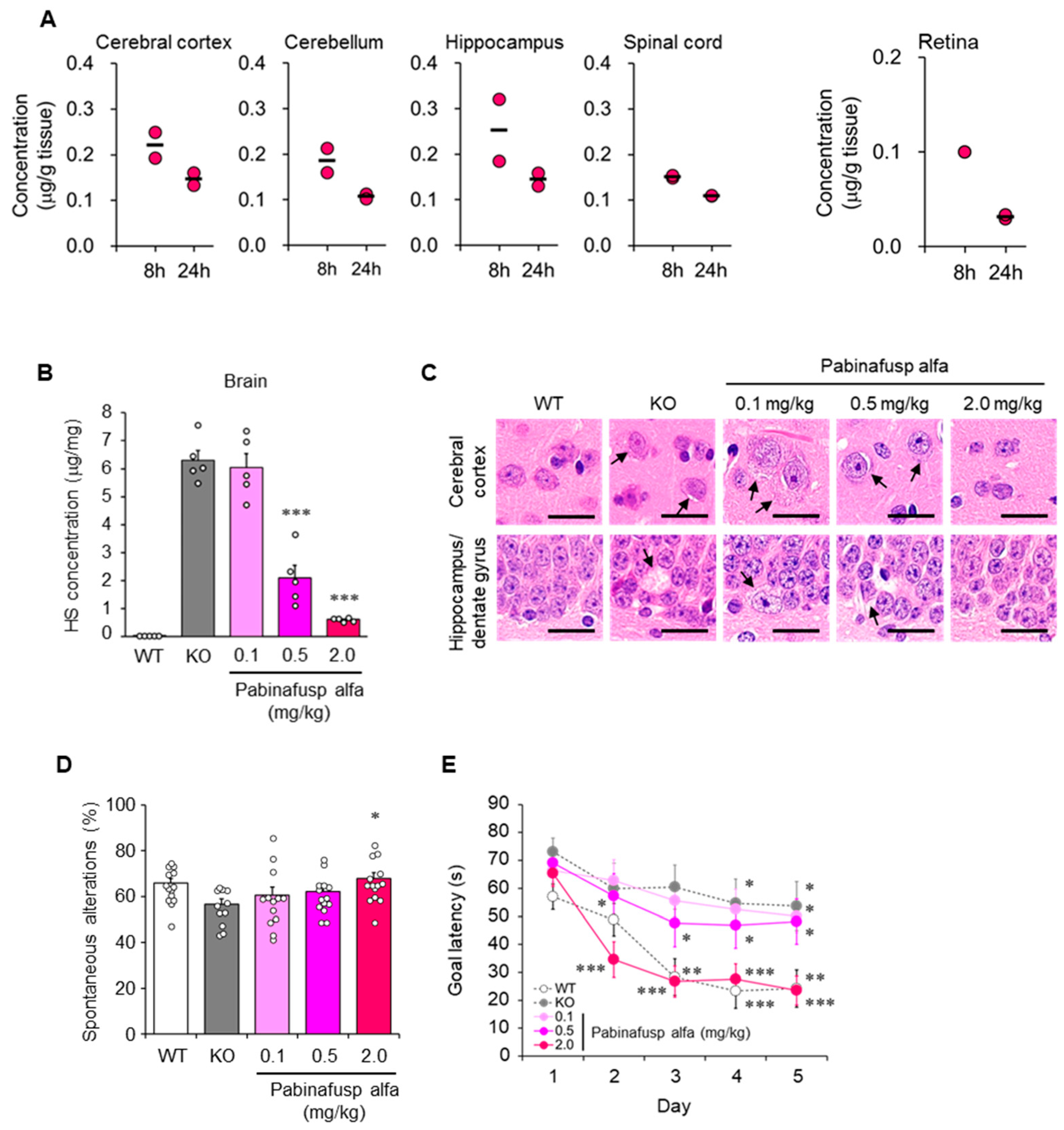 Ijms 23 11724 g003 Ijms 23 11724 g003
