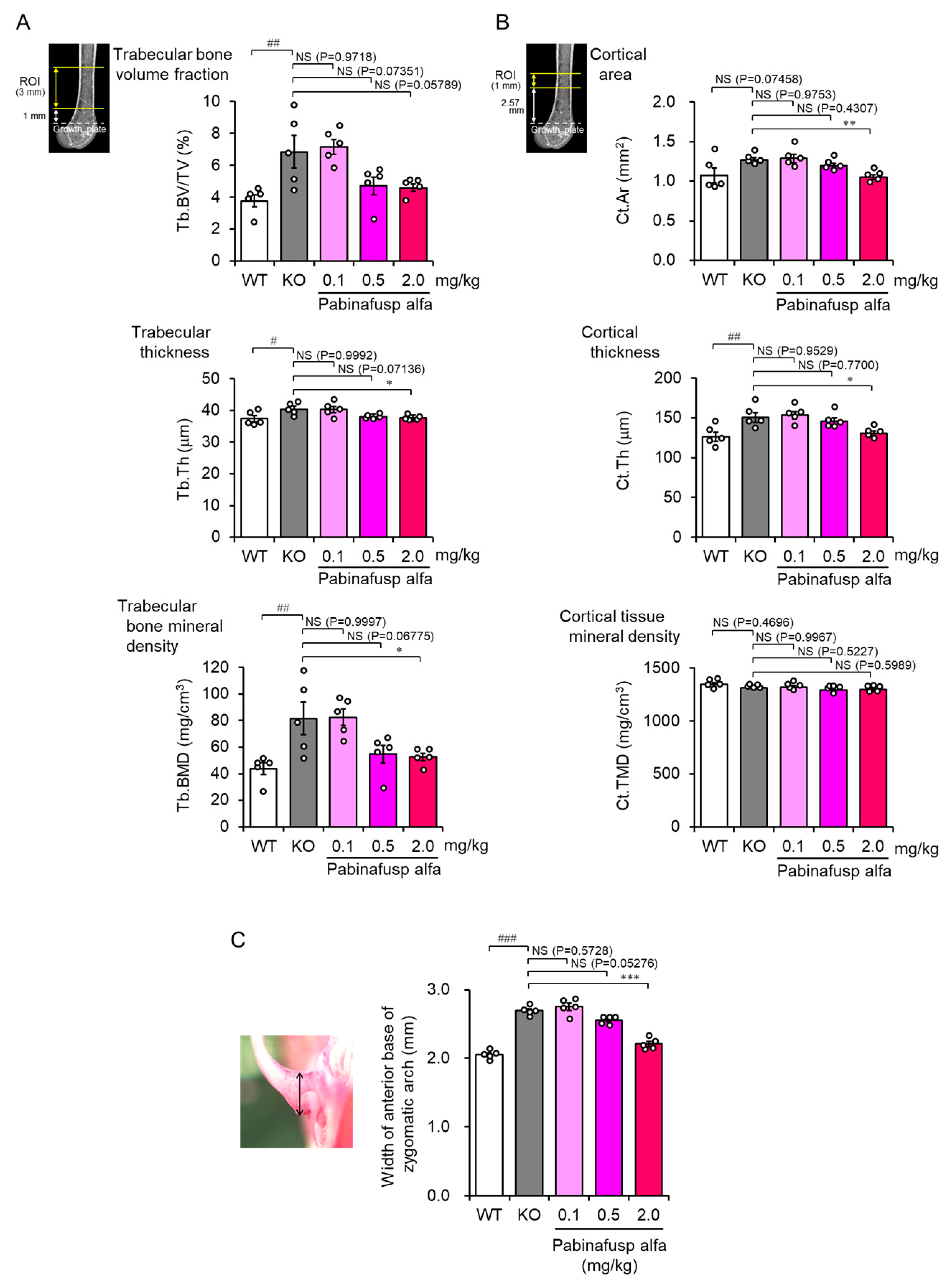 Ijms 23 11724 g004 Ijms 23 11724 g004