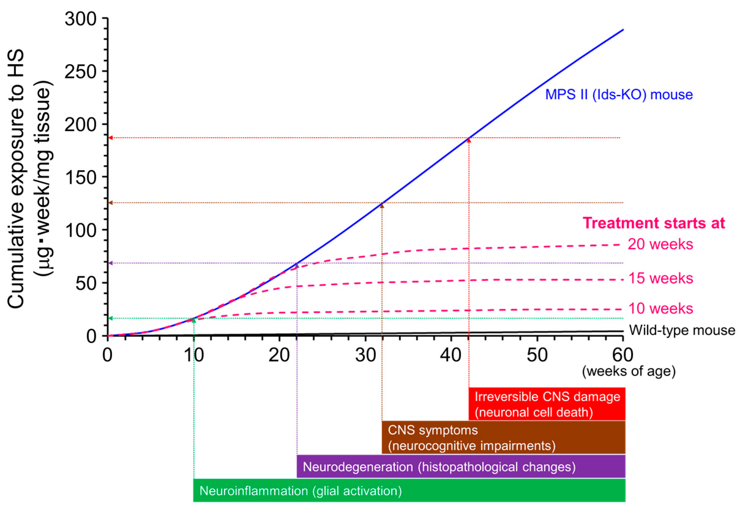 Ijms 23 11724 g007 Ijms 23 11724 g007