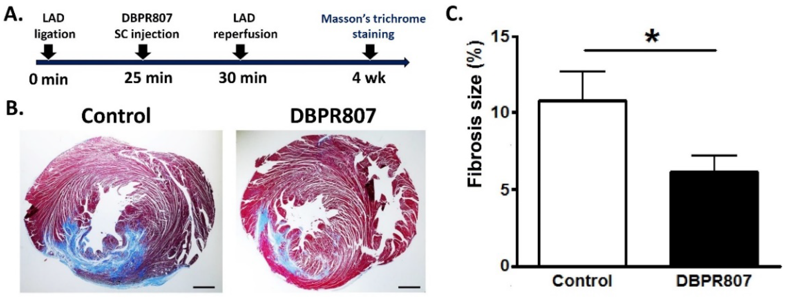 Ijms 23 11730 g004 Ijms 23 11730 g004