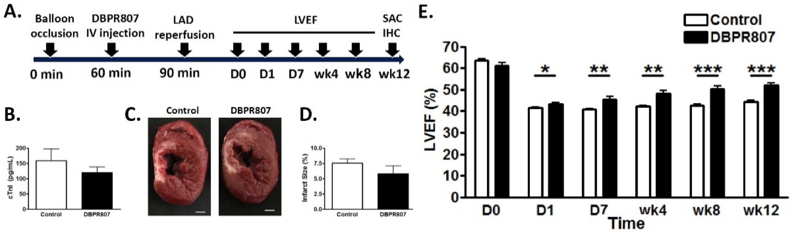 Ijms 23 11730 g005 Ijms 23 11730 g005