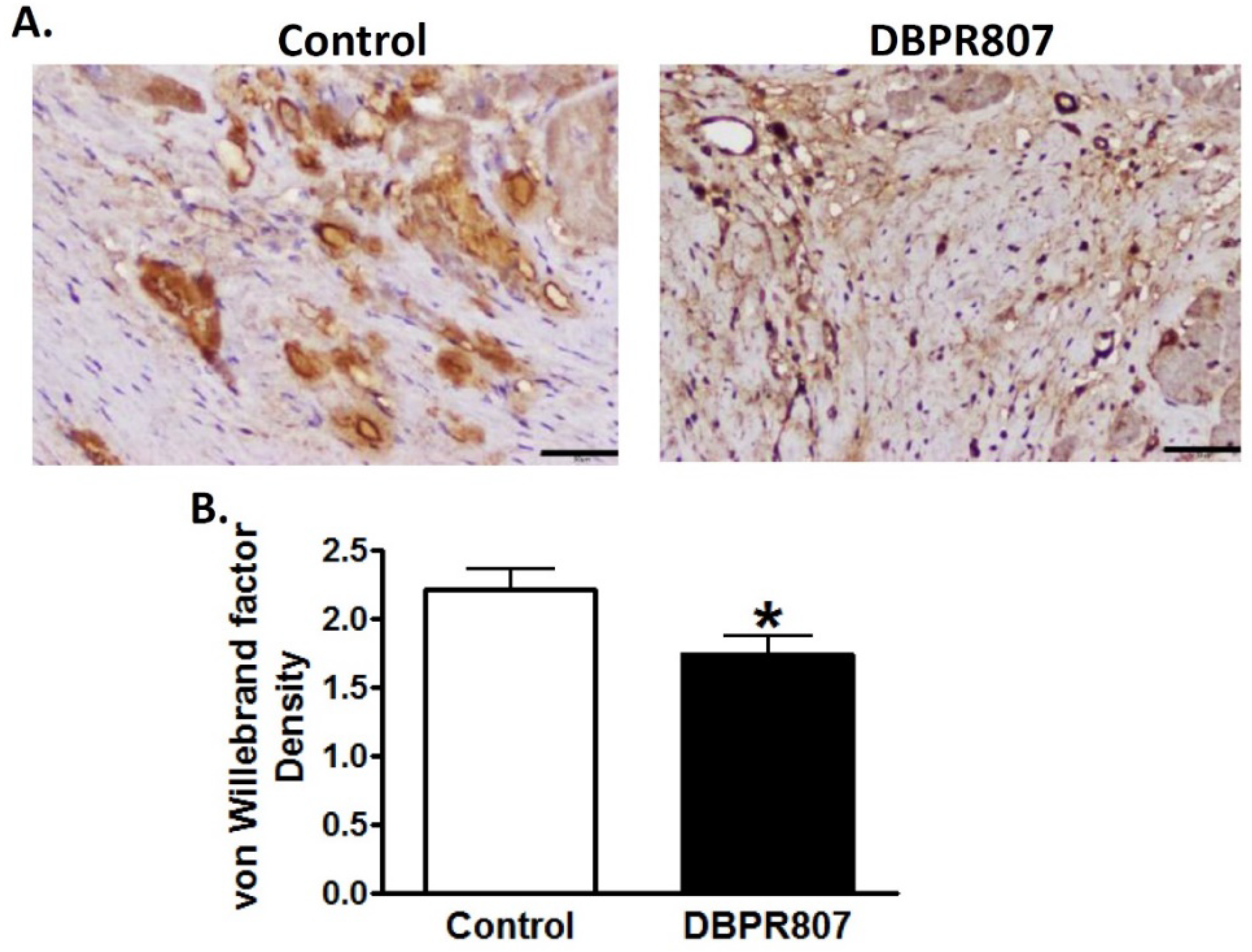 Ijms 23 11730 g007 Ijms 23 11730 g007