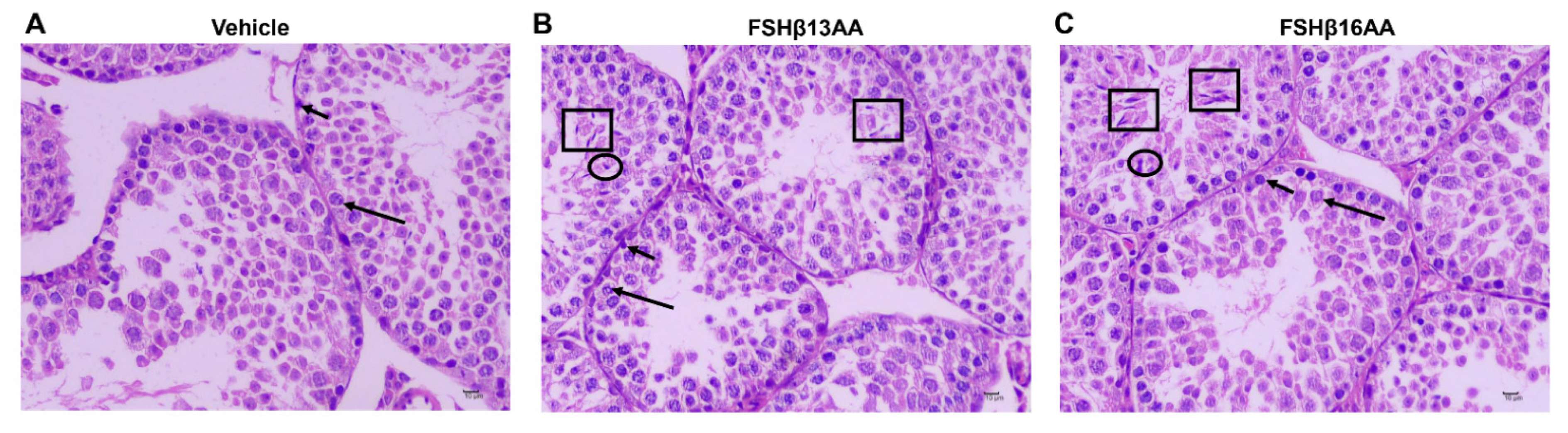 Ijms 23 11735 g003 Ijms 23 11735 g003