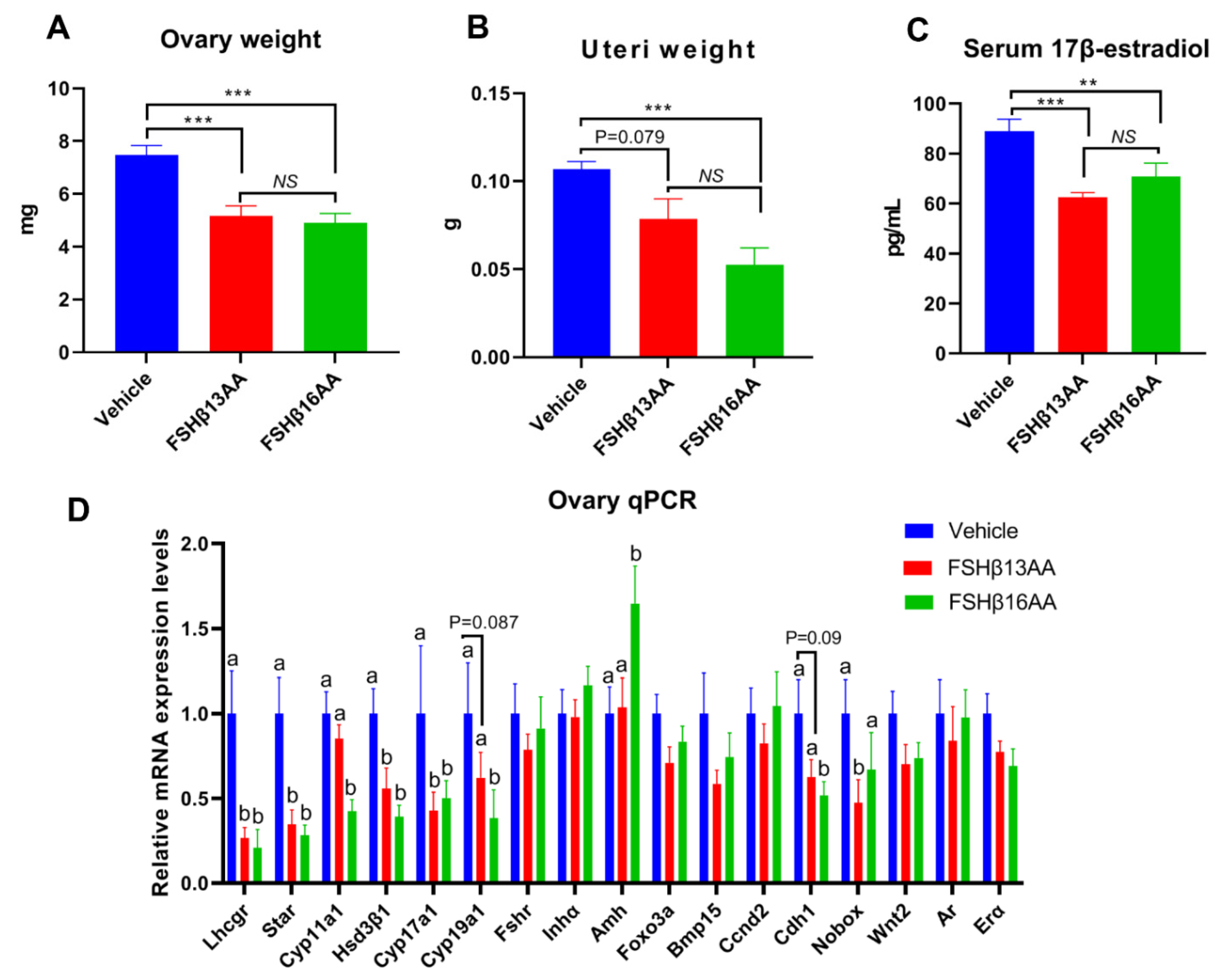 Ijms 23 11735 g009 Ijms 23 11735 g009