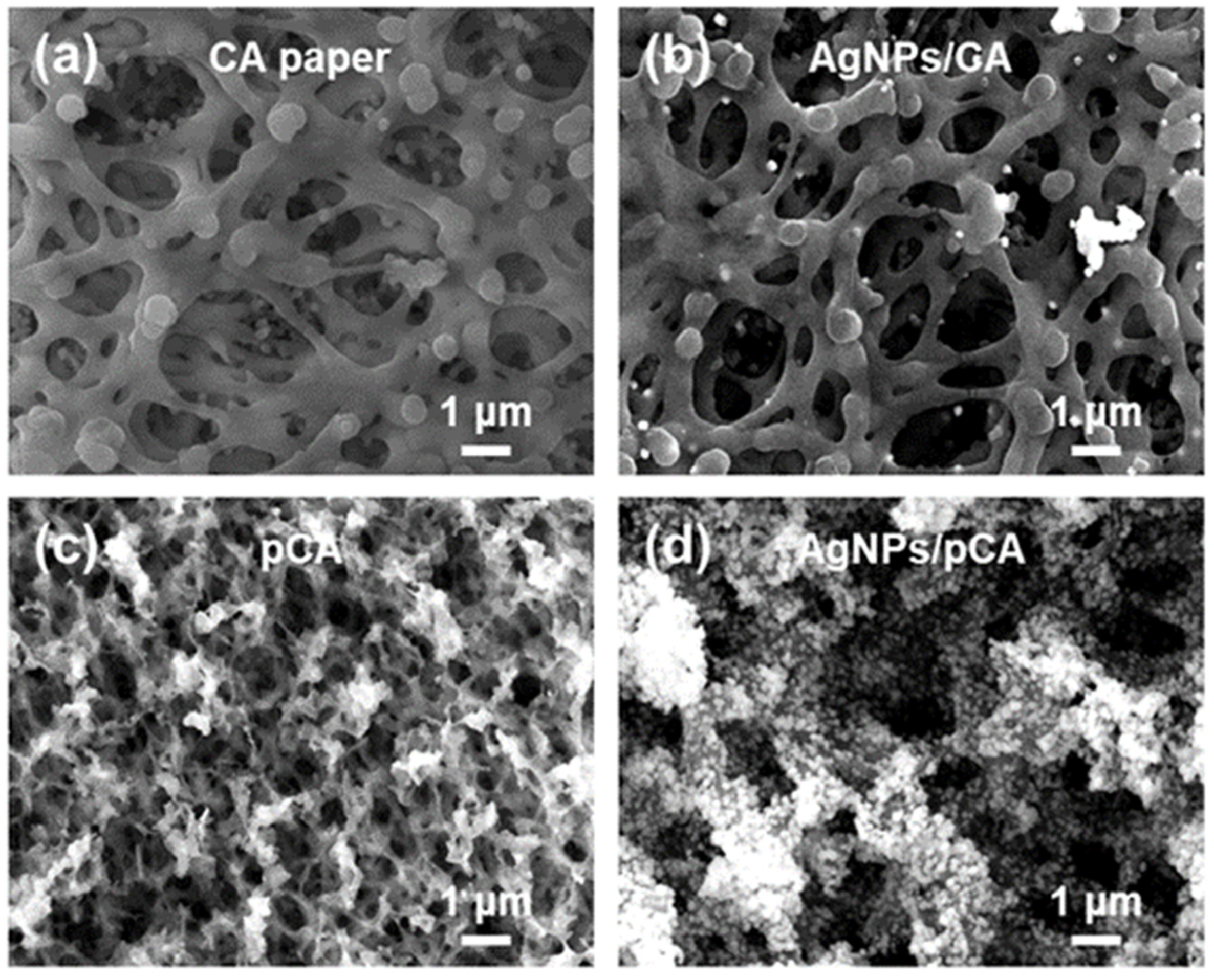 Ijms 23 11741 g001 Ijms 23 11741 g001