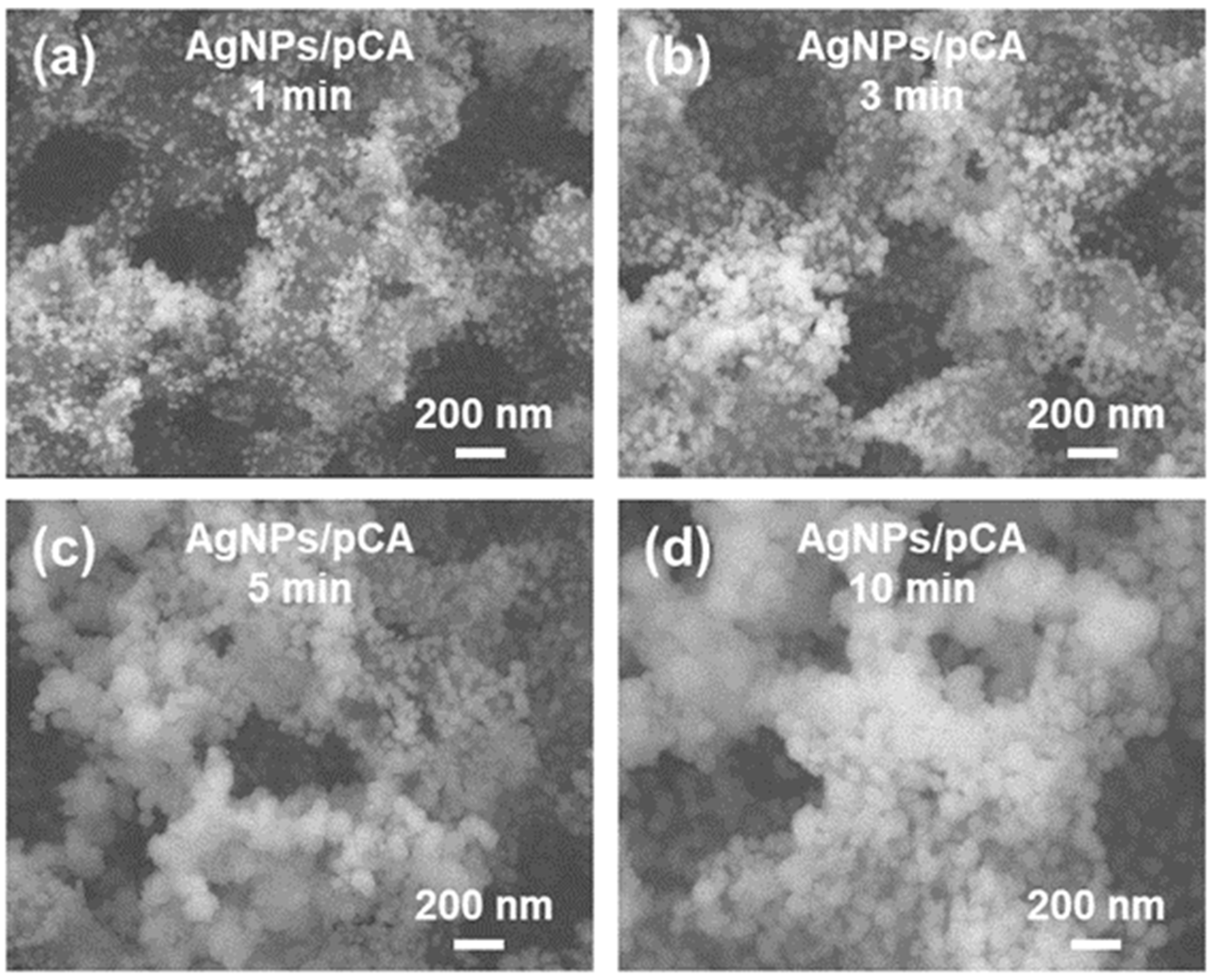 Ijms 23 11741 g002 Ijms 23 11741 g002