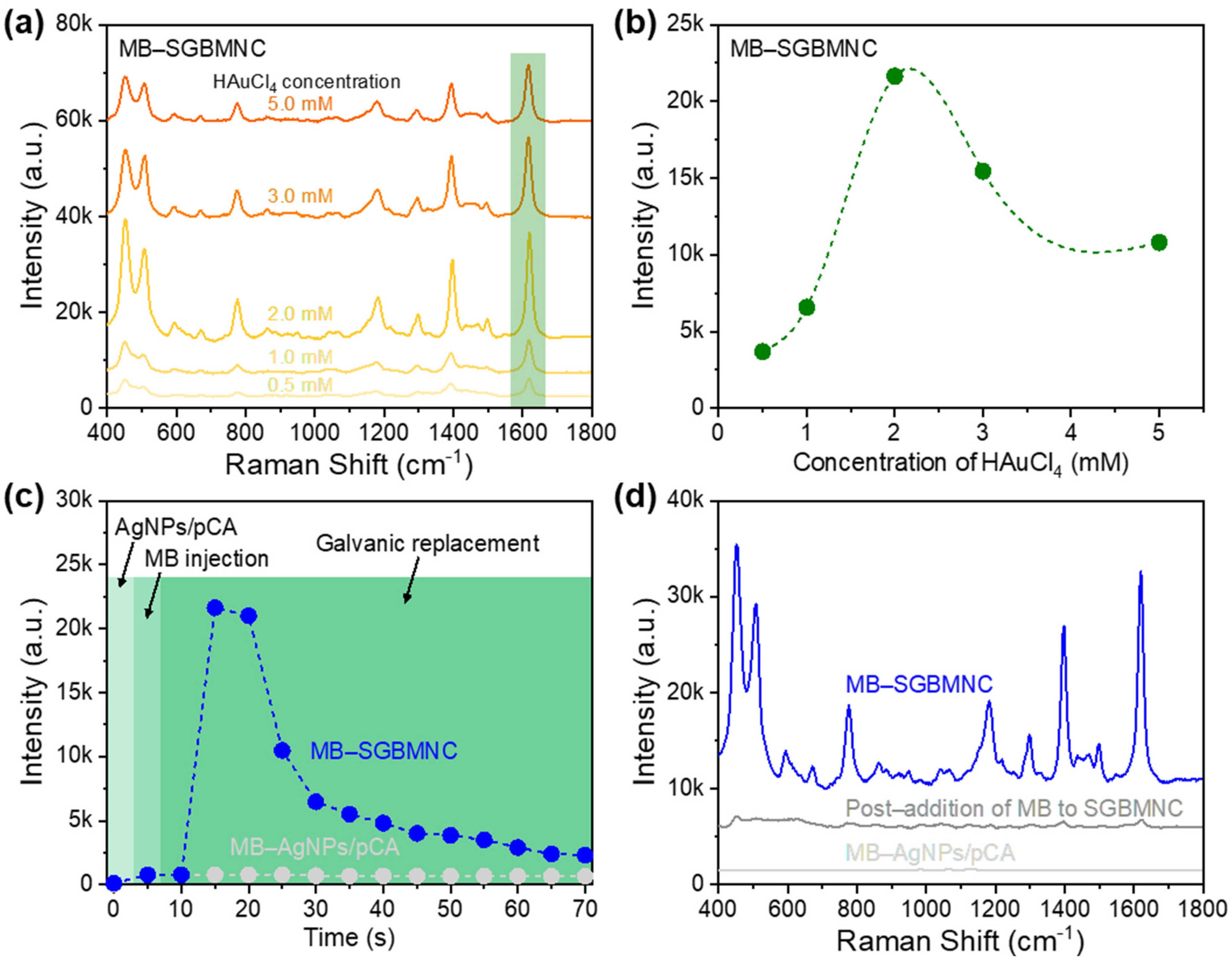 Ijms 23 11741 g004 Ijms 23 11741 g004